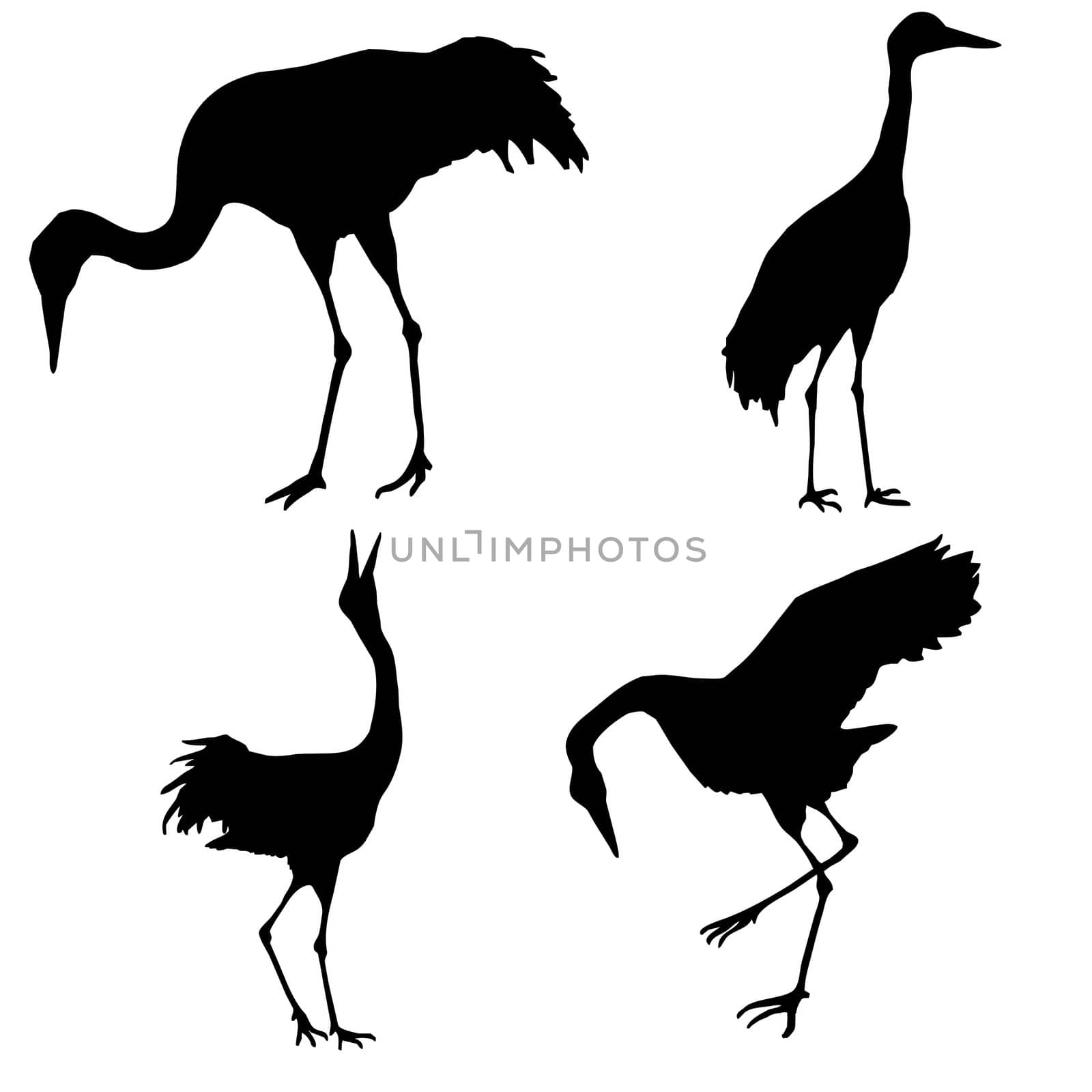 silhouette of the cranes isolated on white background