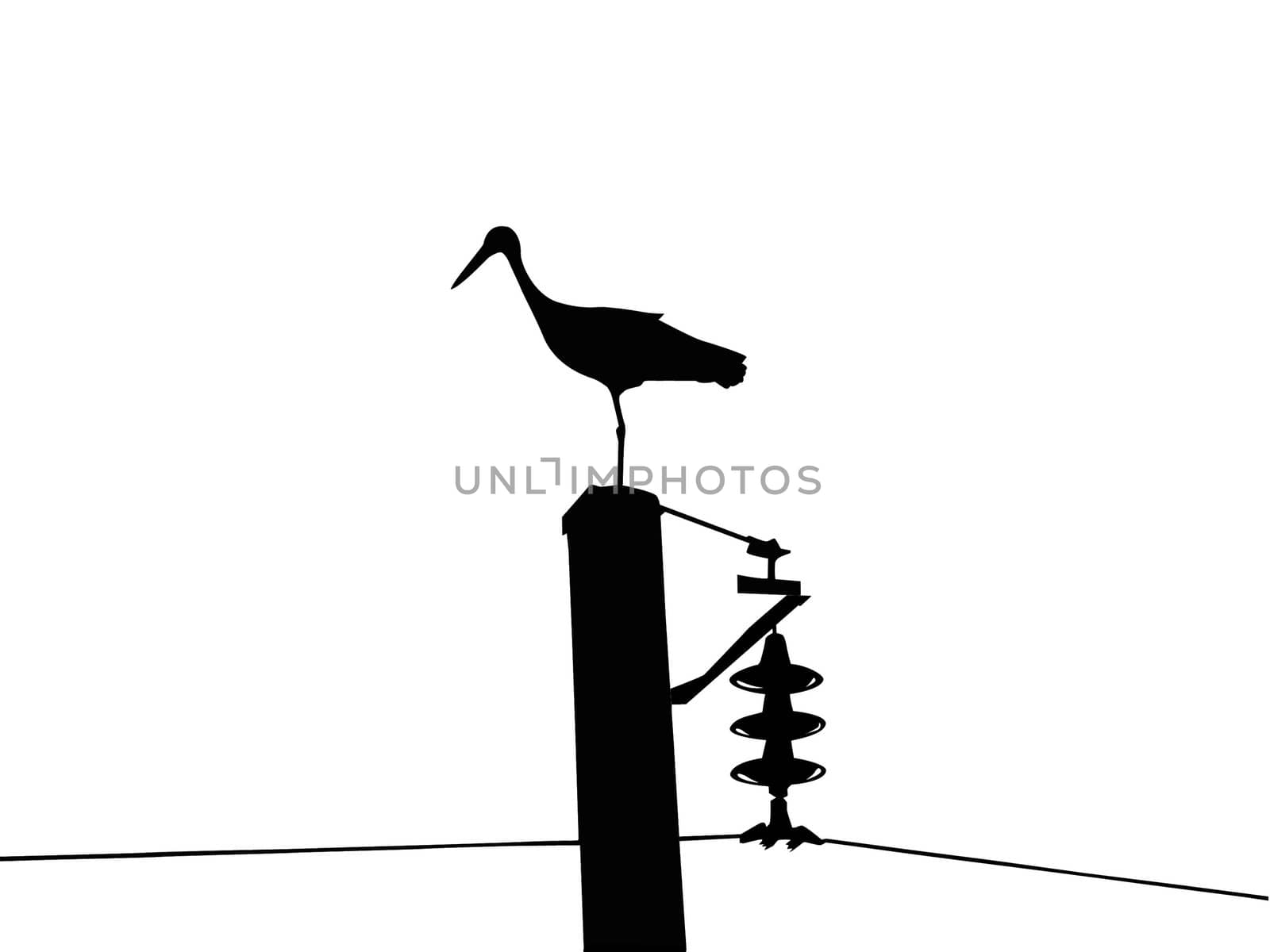 vector silhouette of the crane isolated on white background by basel101658