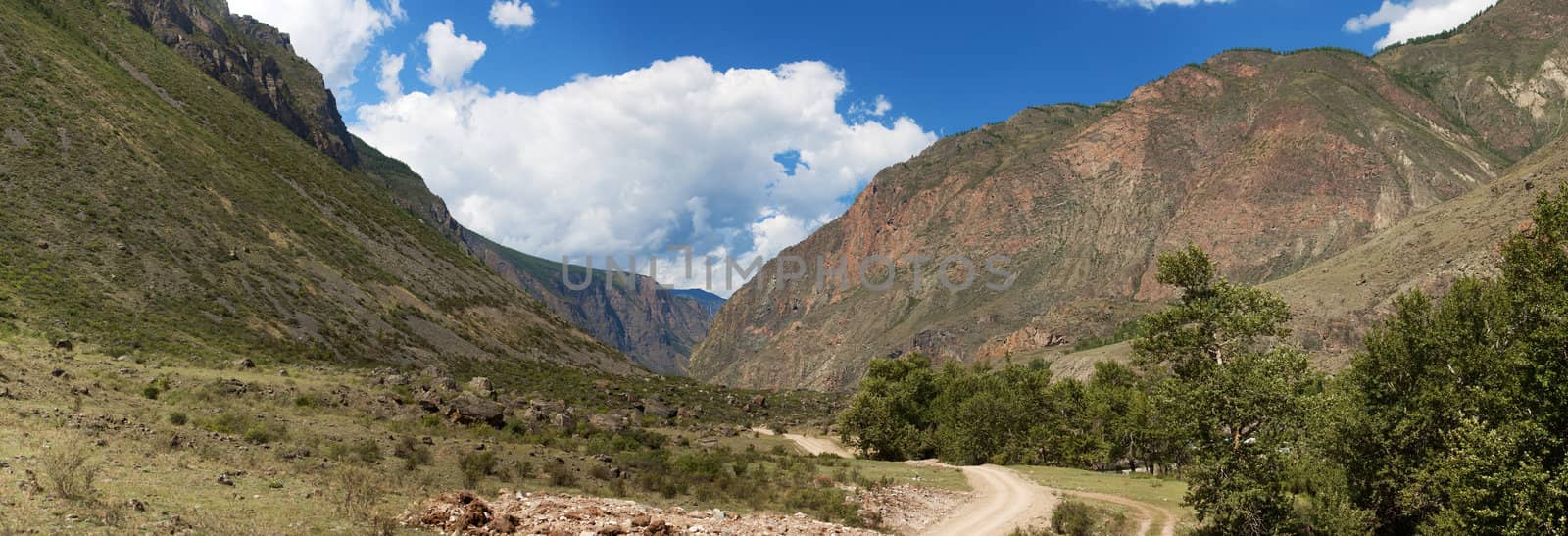 Altai mountains. Summer landscape. Russia by ISerg