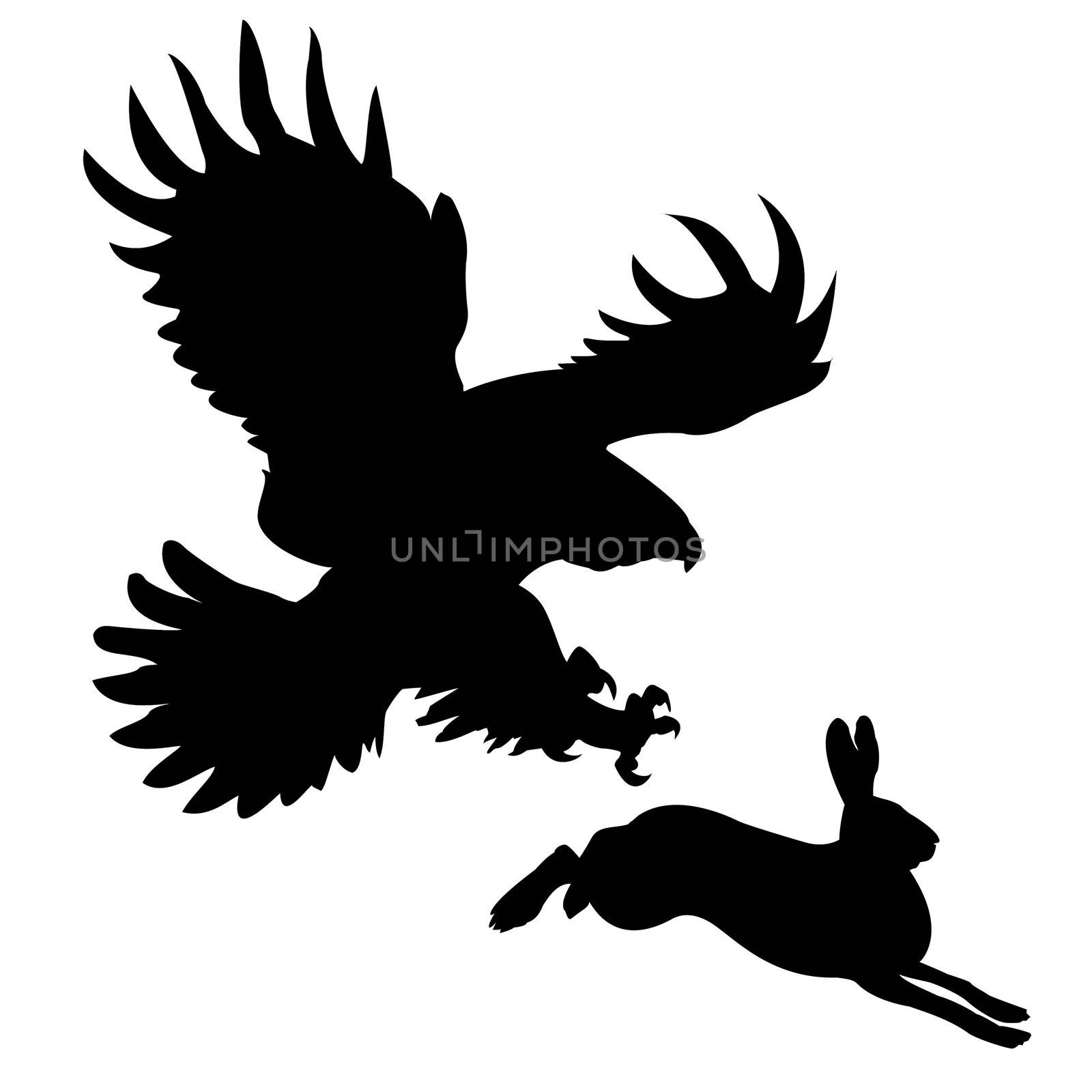 vector silhouette of the ravenous bird attacking hare by basel101658