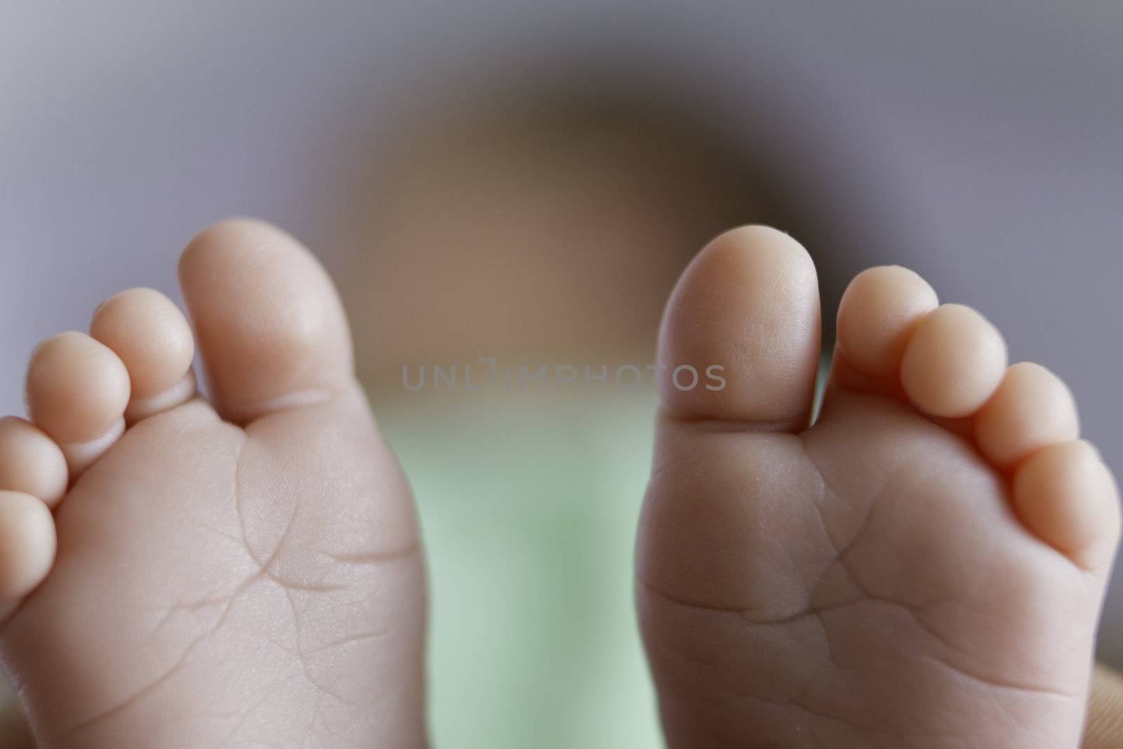 8 days old girl's feet, very tiny toes with shallow depth of field.