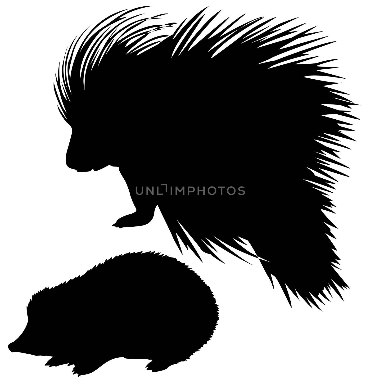 vector silhouette of the hedgehog and porcupine on white backgr by basel101658