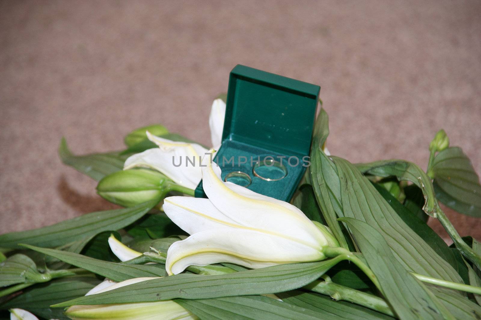 Rings gold flowers rose white green dim background 