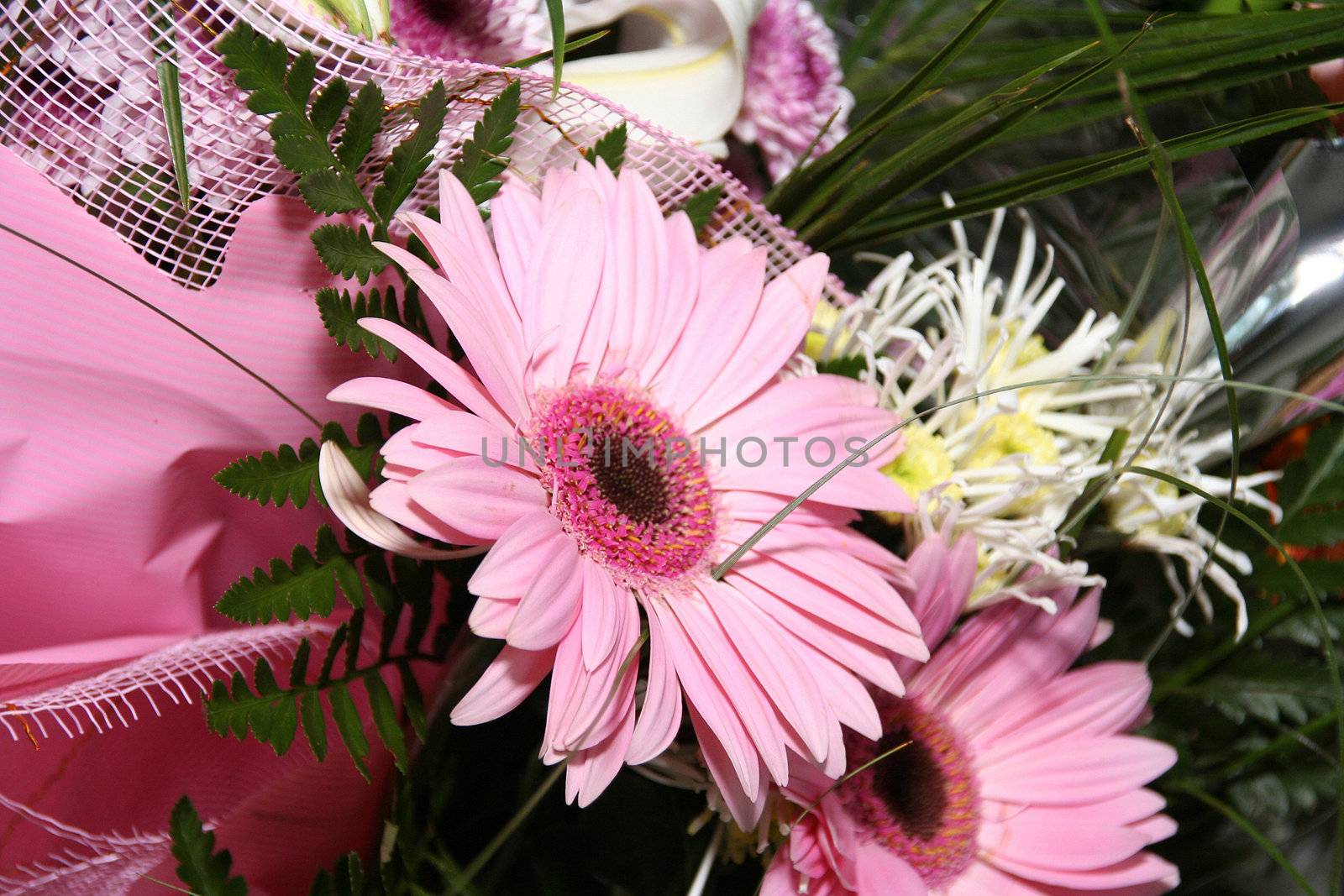 Flowers bouquet red white yellow lilac love beauty