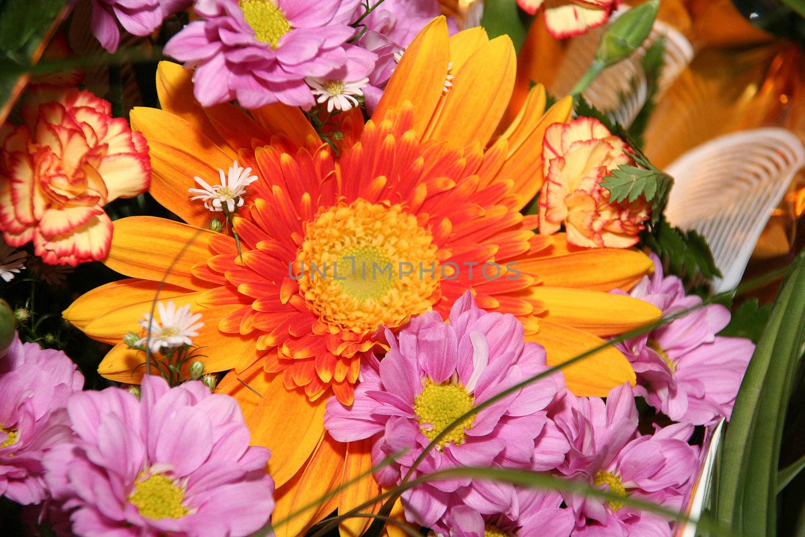 Flowers bouquet red white orange love beauty