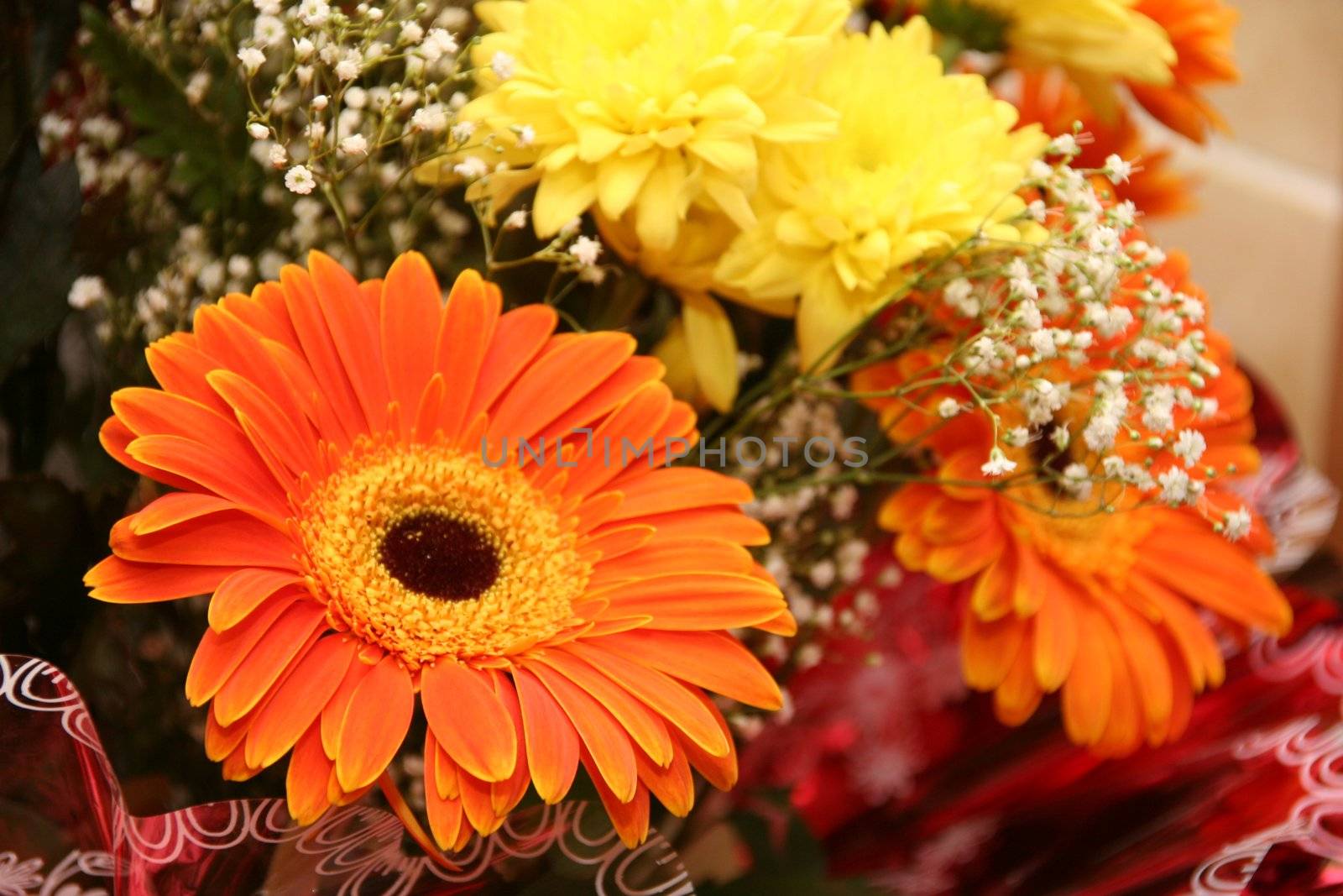 Flowers, bouquet, red, white, wedding, gift, orange 