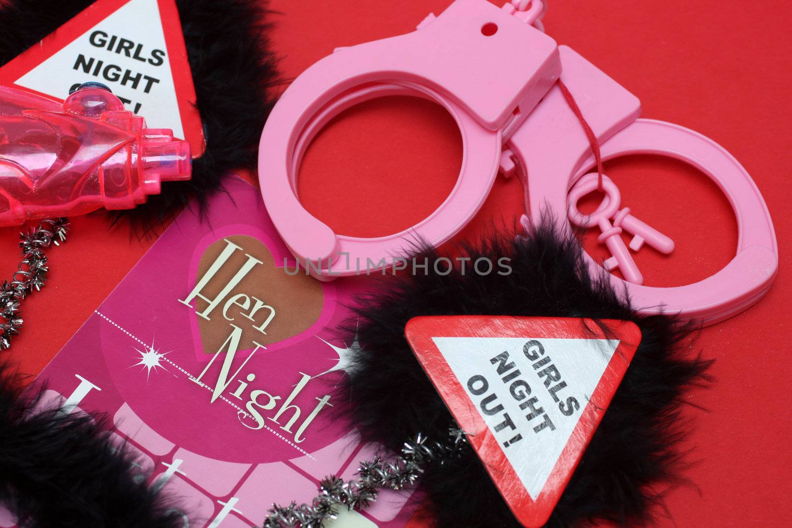 accessories for a hen night out
