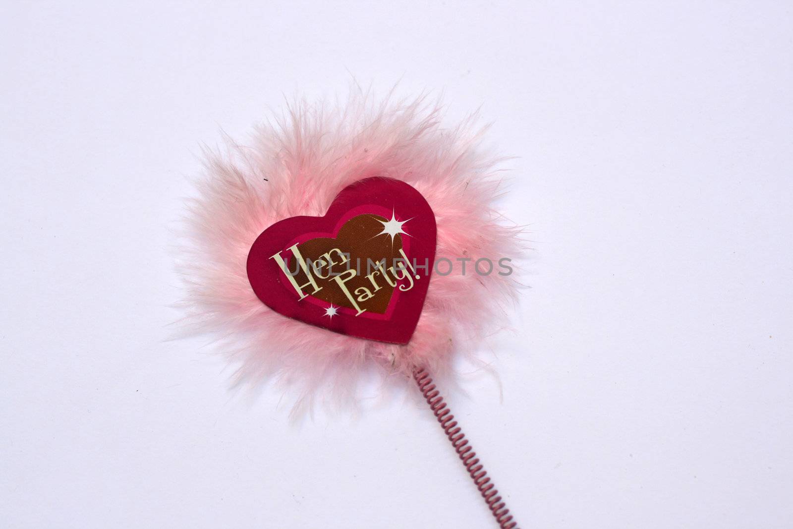 a fury wand for a hen party