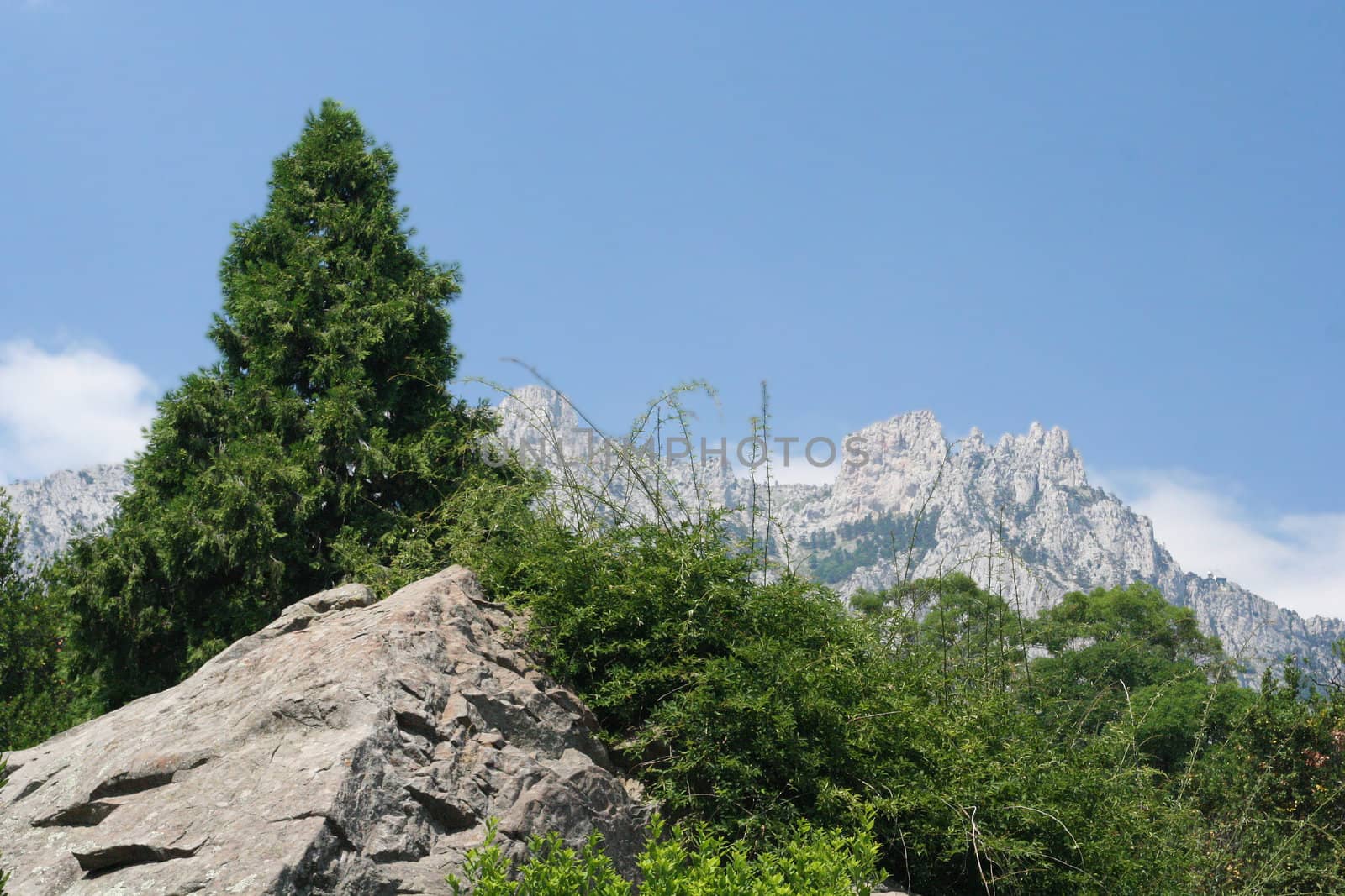 Green trees; the dark blue sky; beautiful greater rocks