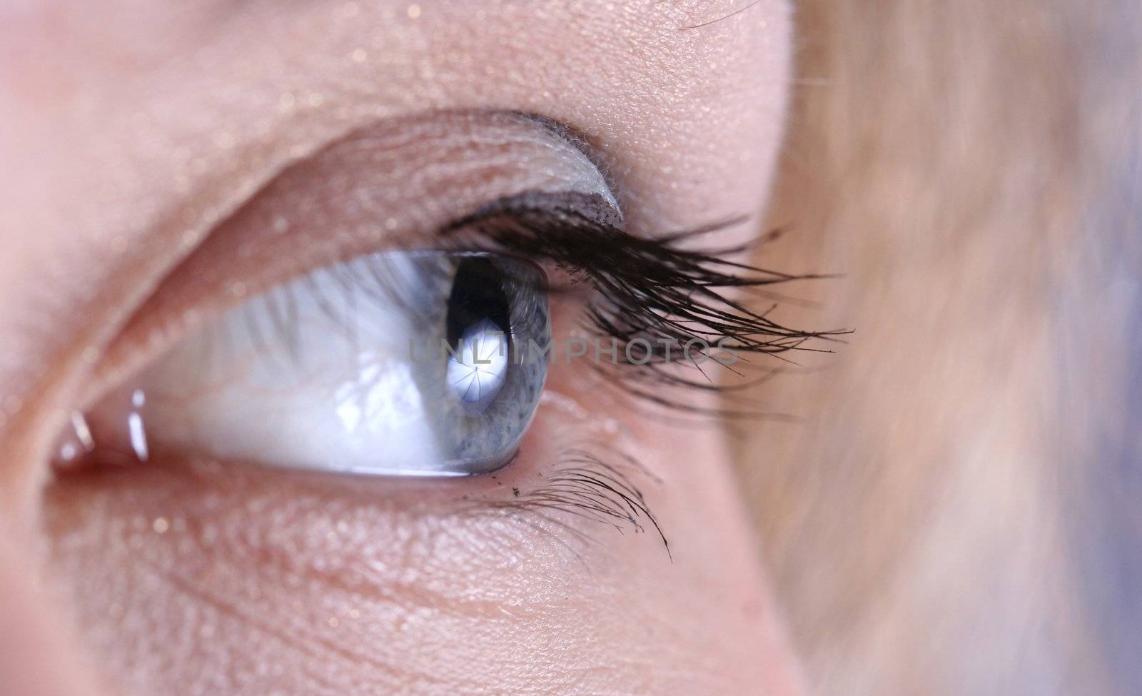 eyelashes macro eye closeup unique skin woman