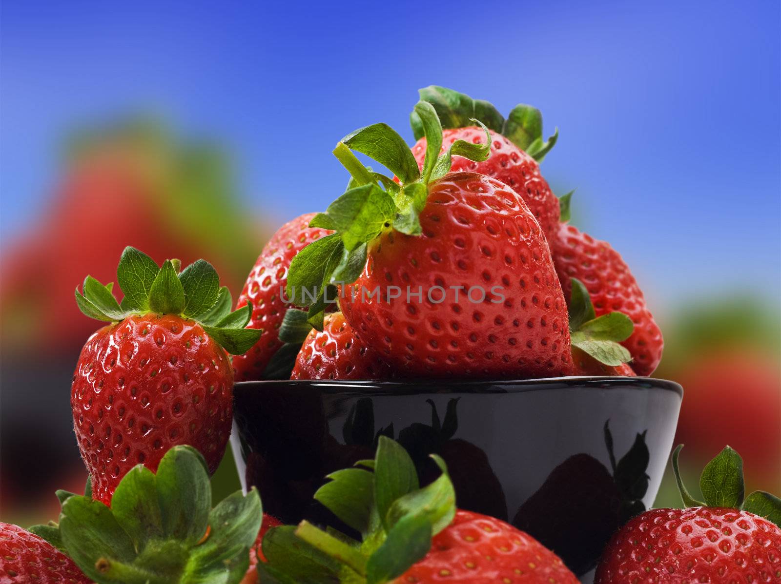 Fresh healthy strawberries for a healthy diet