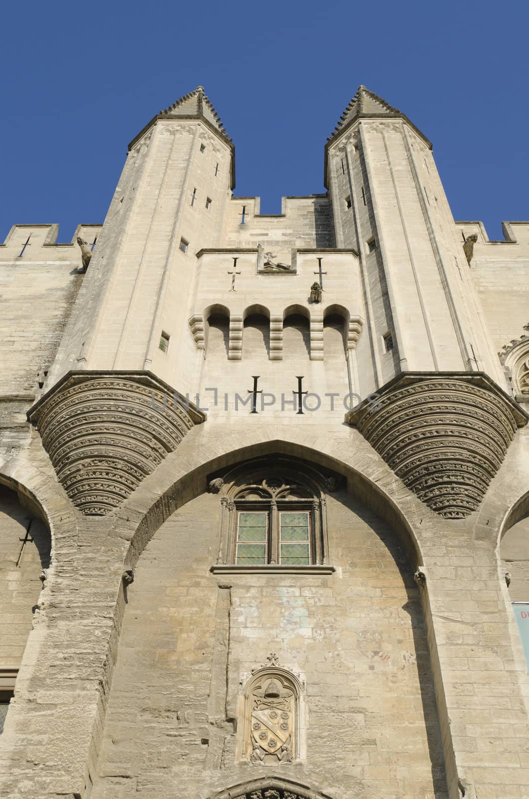 front of palace of popes in Avignon, Provence, France