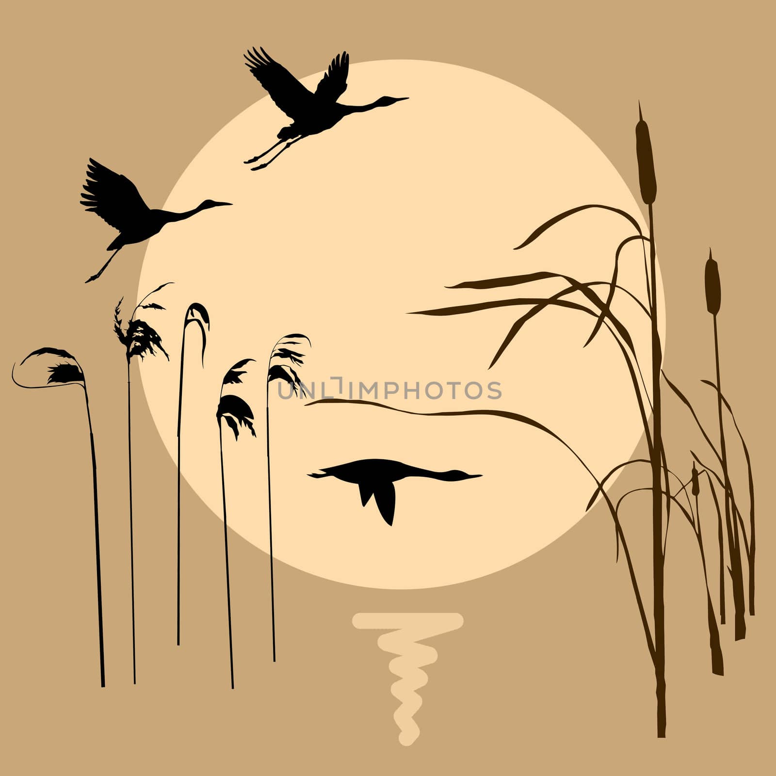 vector drawing flying birds on background sun by basel101658