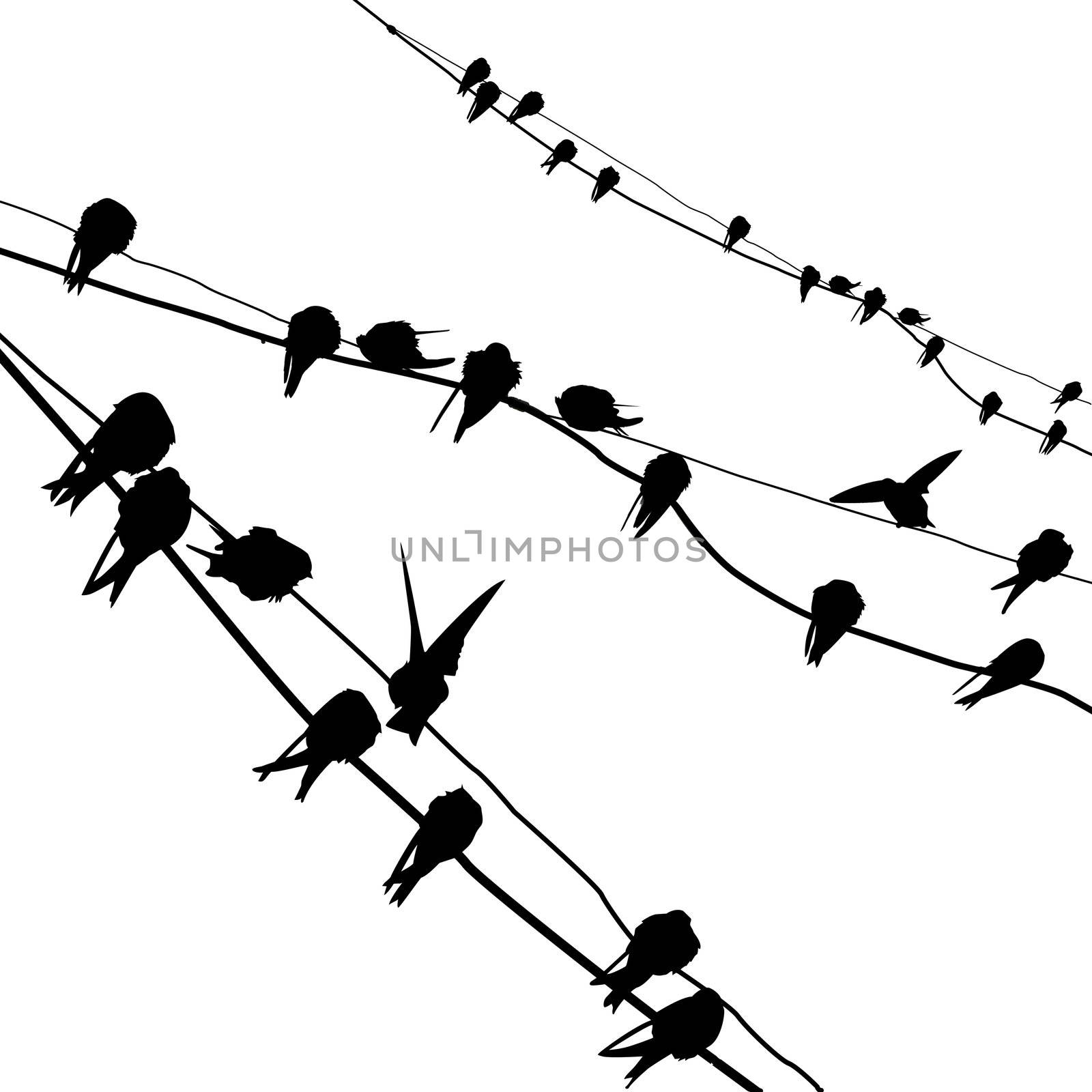 vector silhouette migrating swallow reposing on electric wire by basel101658