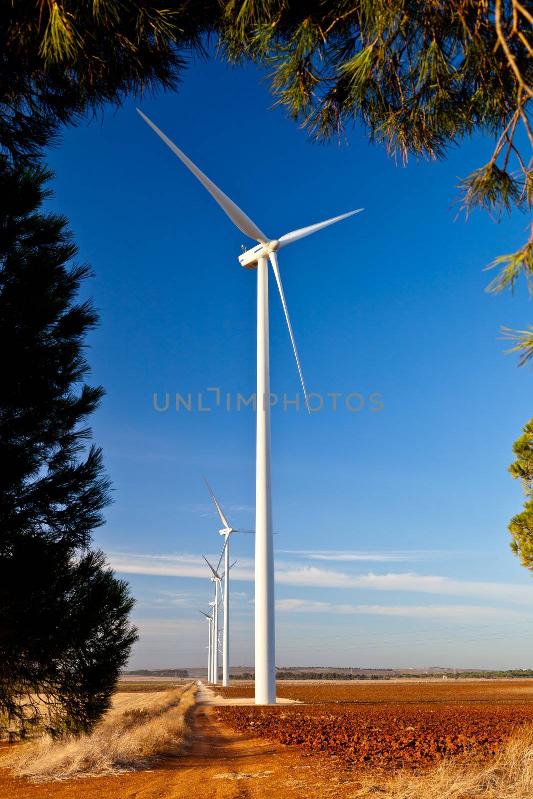 Typical windmill or aerogenerator of aeolian energy