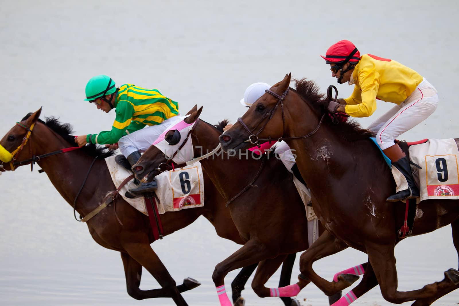 SANLUCAR DE BARRAMEDA, CADIZ, SPAIN - AUGUST 07: Unknown riders of the horses races of the beach of Sanlucar de Barrameda on August 07, 2010 in Sanlucar de Barrameda, Cadiz, Spain.