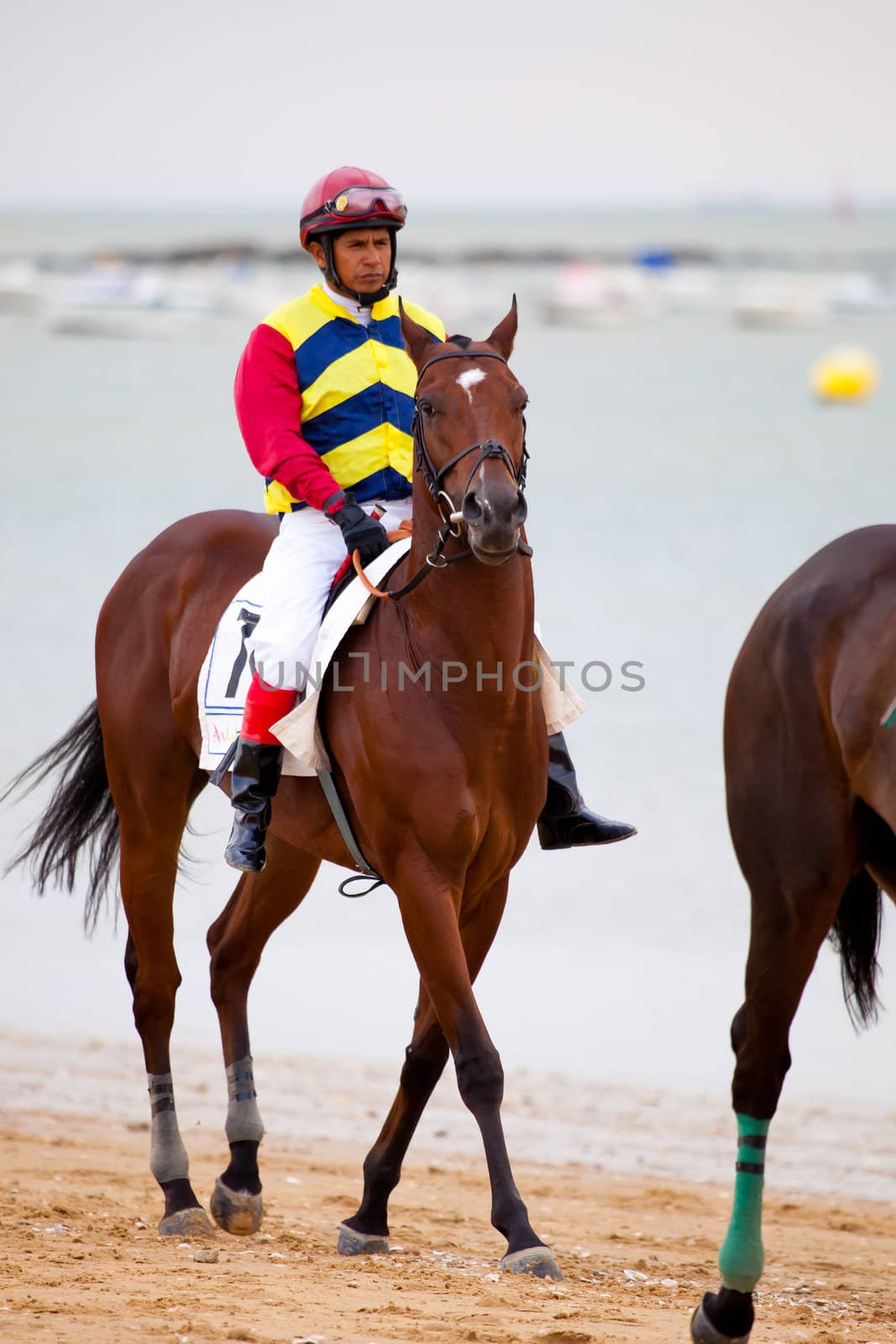 SANLUCAR DE BARRAMEDA, CADIZ, SPAIN - AUGUST 07: Unknown rider at the start of the horses races of the beach of Sanlucar de Barrameda on August 07, 2010 in Sanlucar de Barrameda, Cadiz, Spain.
