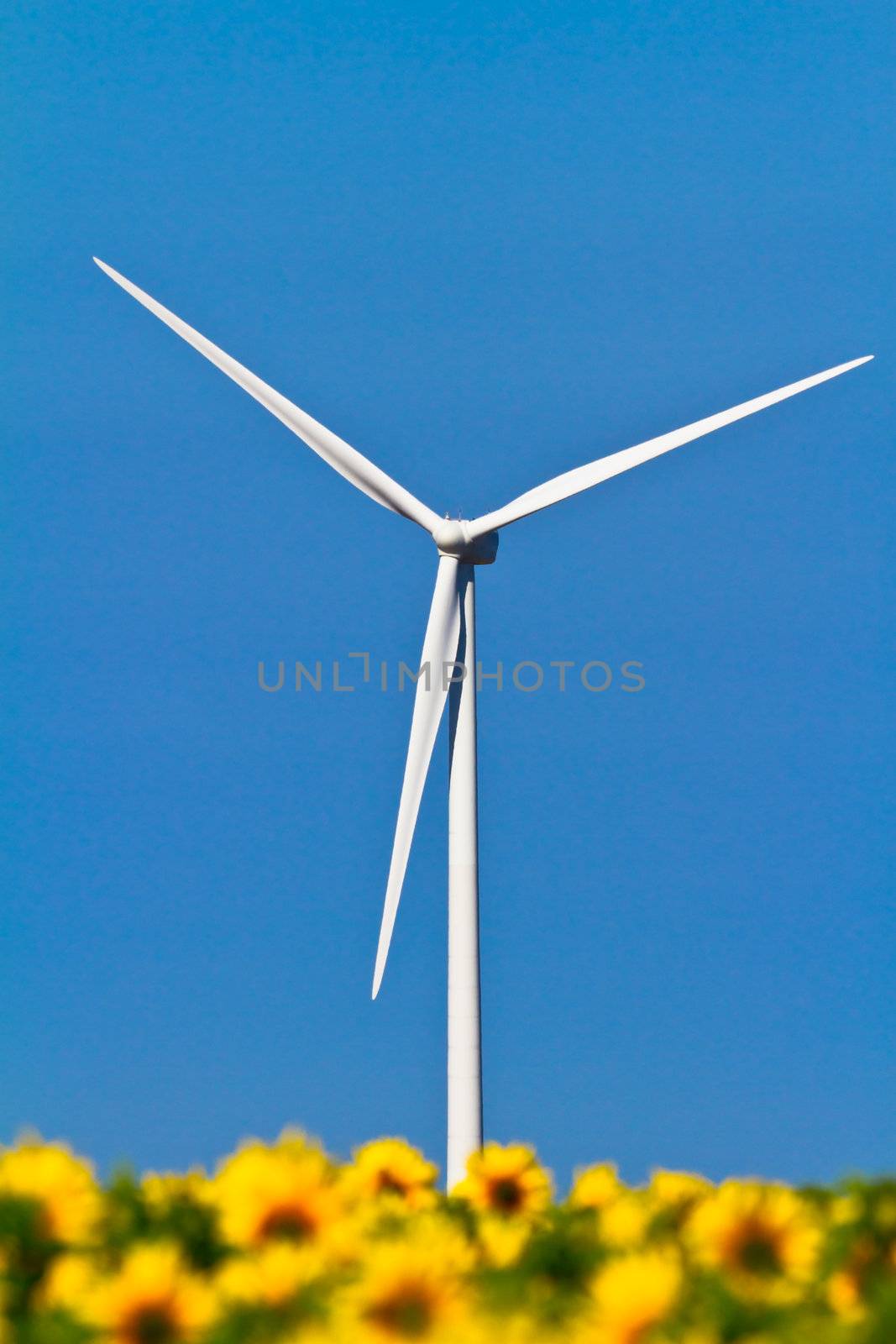 Typical windmill or aerogenerator of aeolian energy and a field of sunflowers