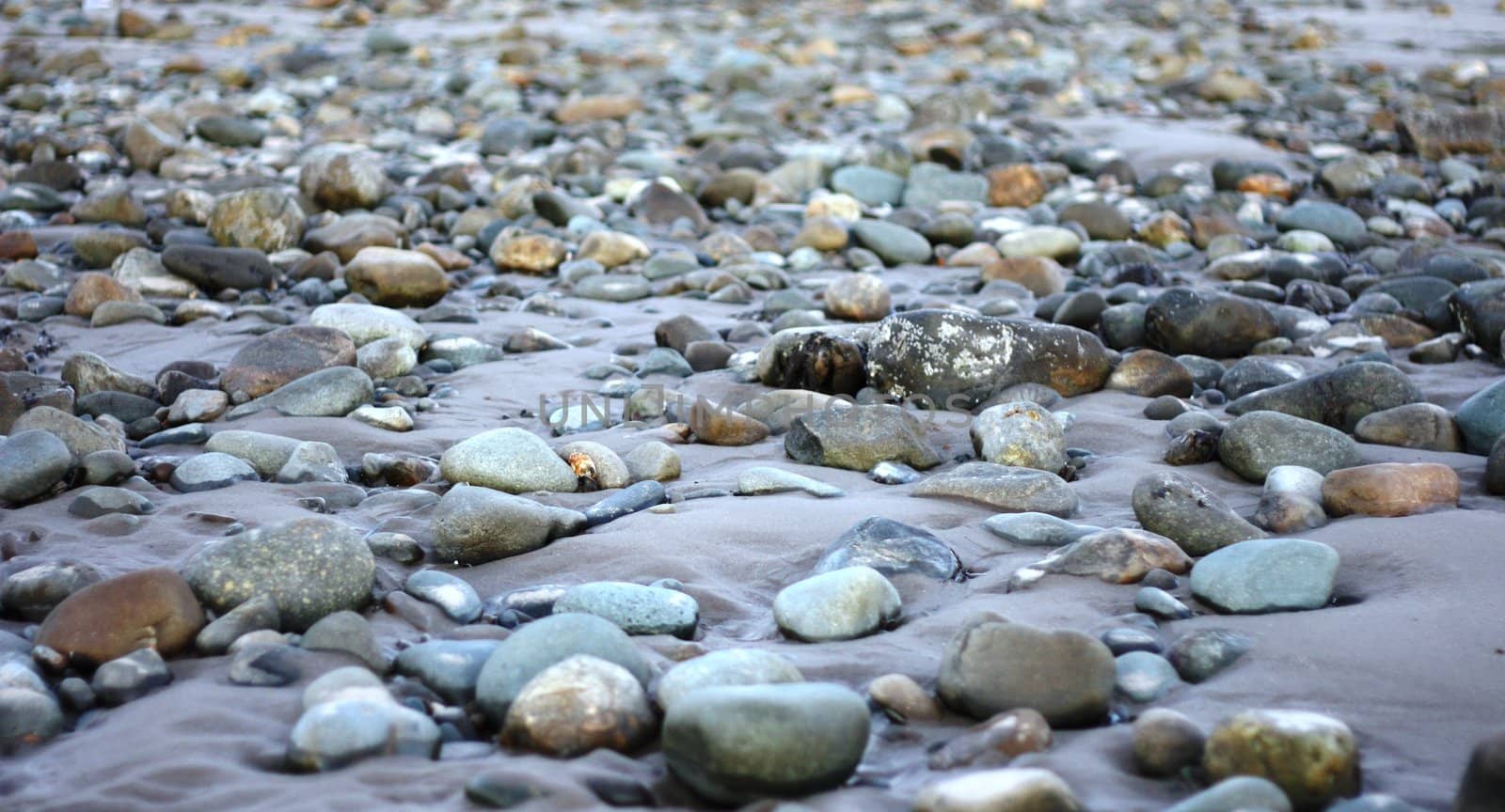 Stones on a beach by chrisga