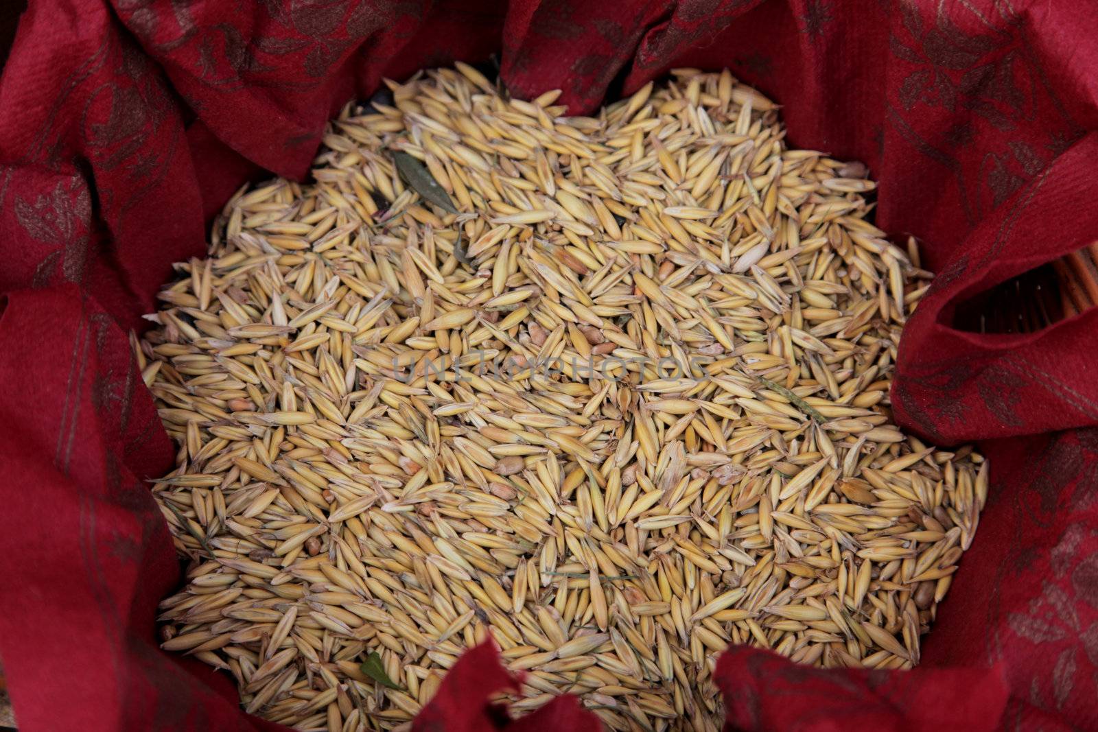 Wheat