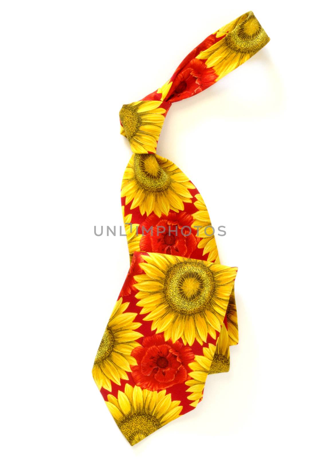 Flower Necktie by CHR1