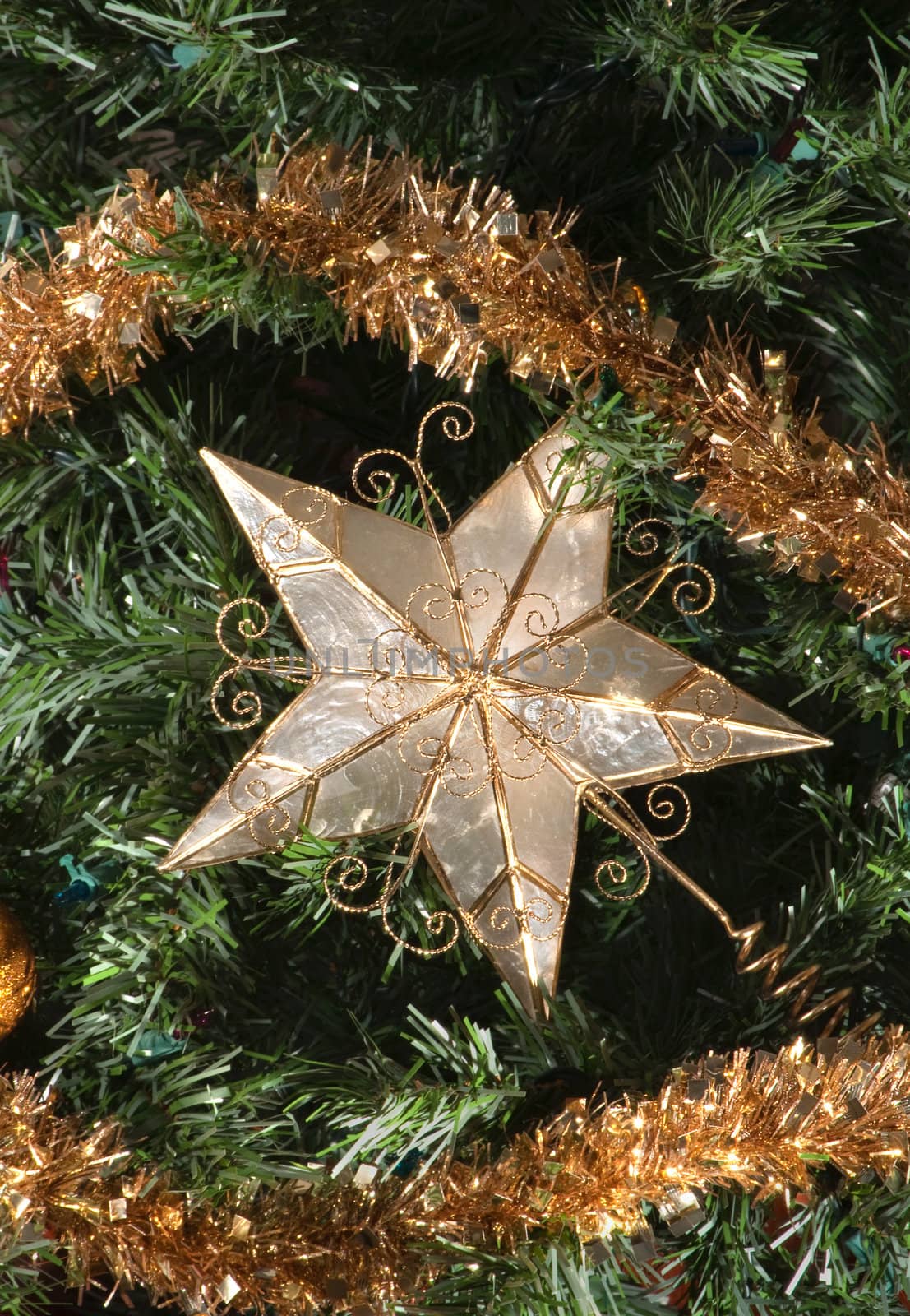 Star surrounded by pine and christmas ornaments