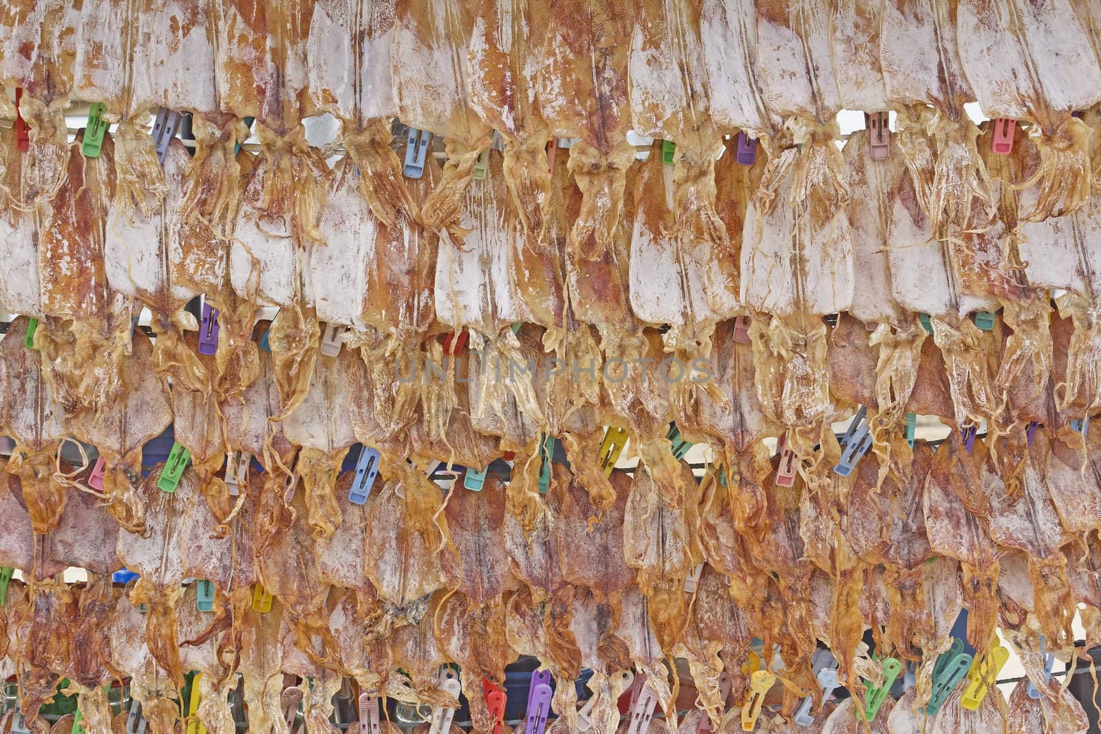 Dried Squid show for sell on beach at Nakhon Si Thammarat, Thailand