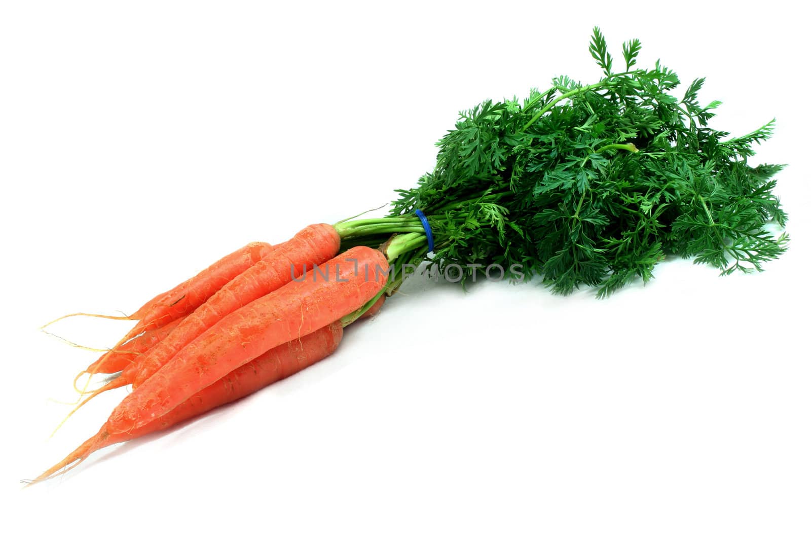 a bunch of carrots