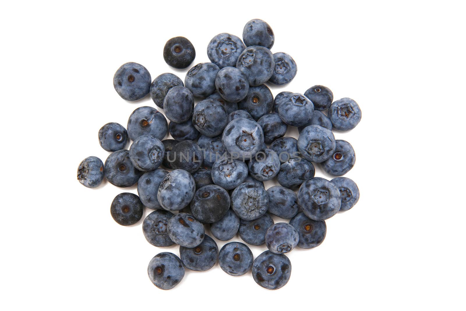 Bilberries on the white background