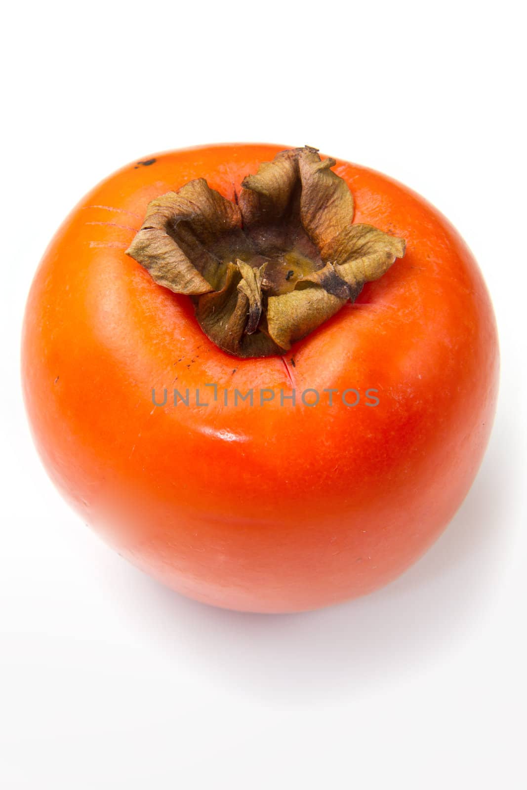 persimmon fruit on white background