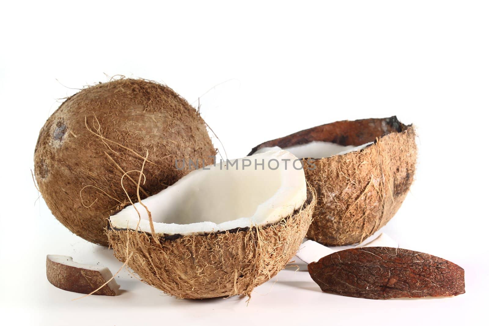 two coconuts on a white background