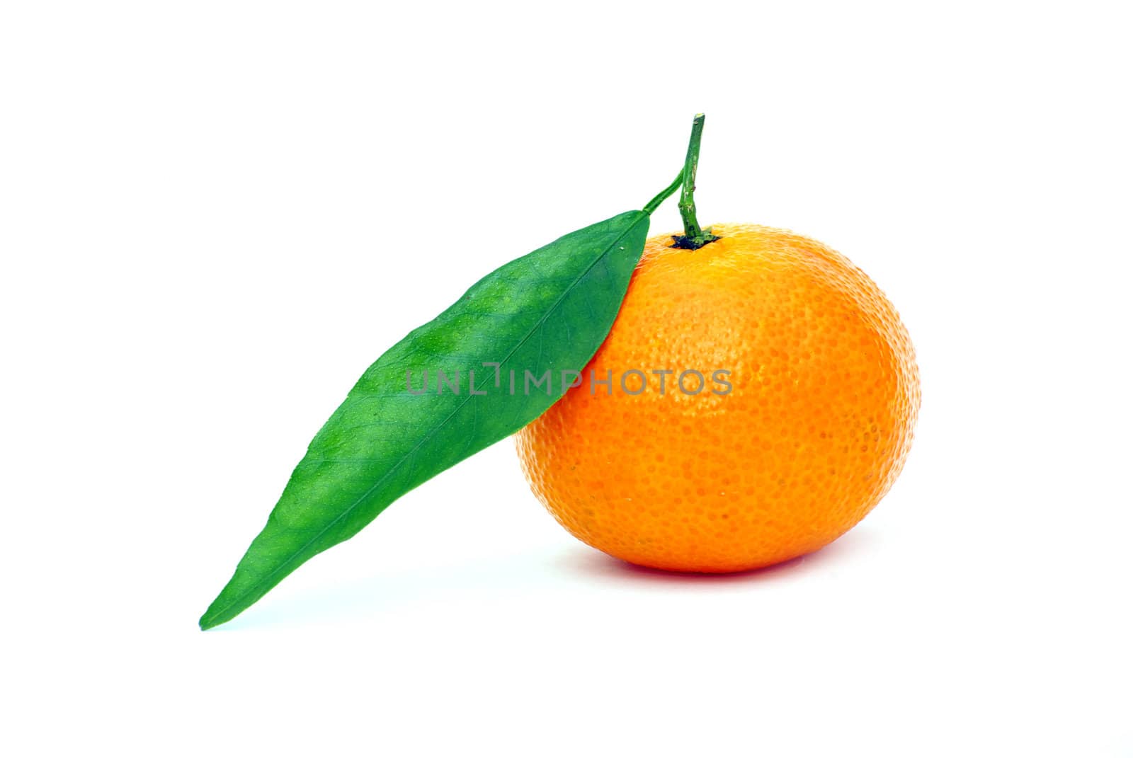  tangerine isolated on a white background