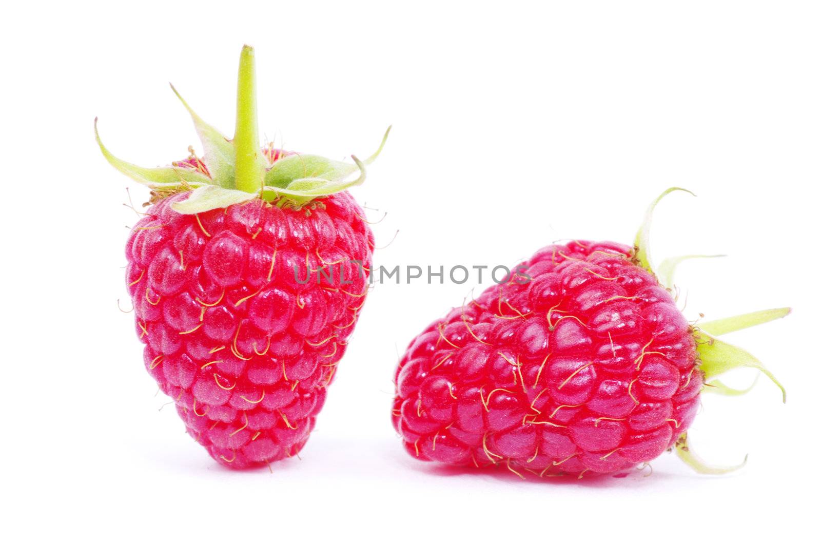 fresh raspberry closeup isolated on white background