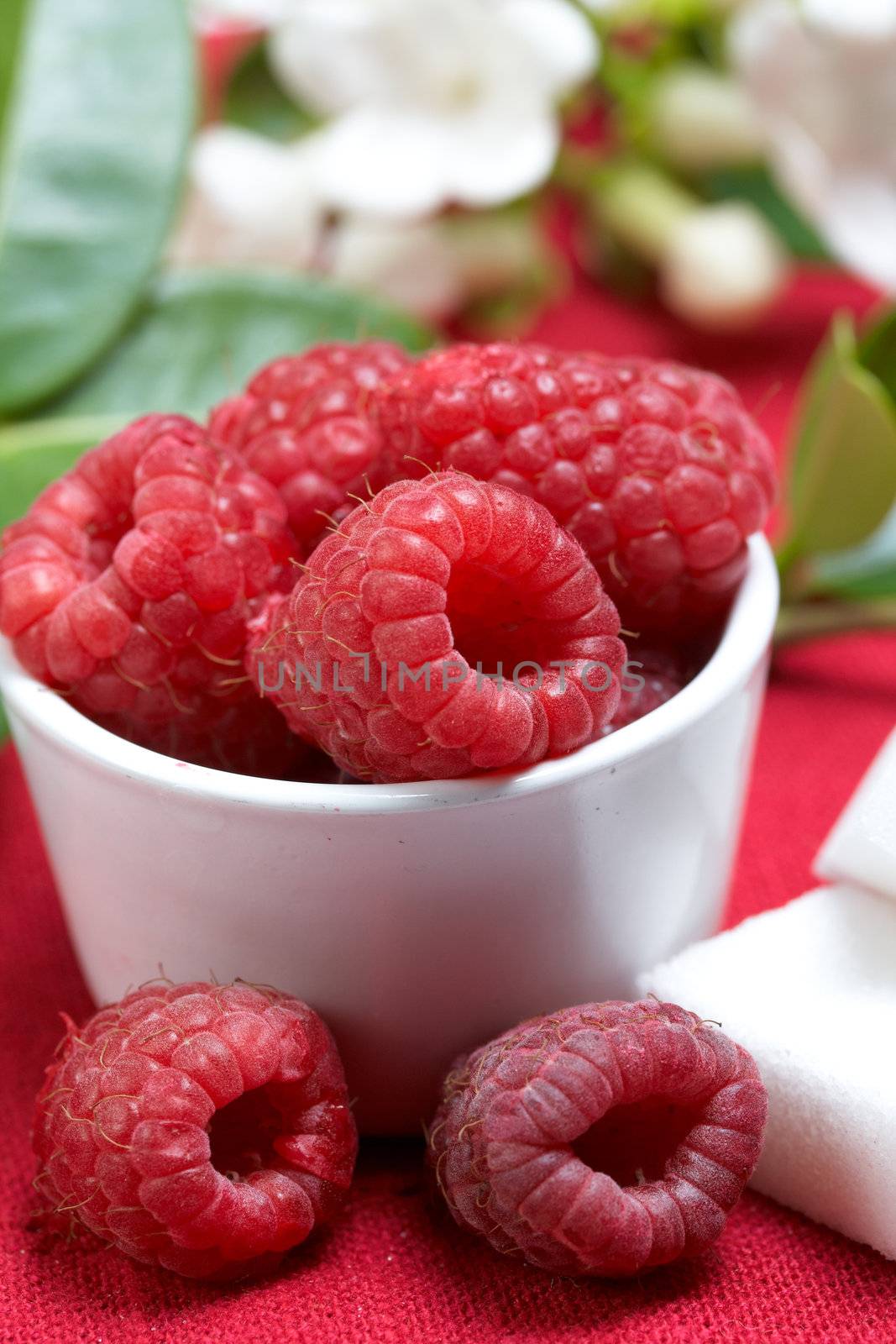 some fresh seasonal summer raspberries with yogurt