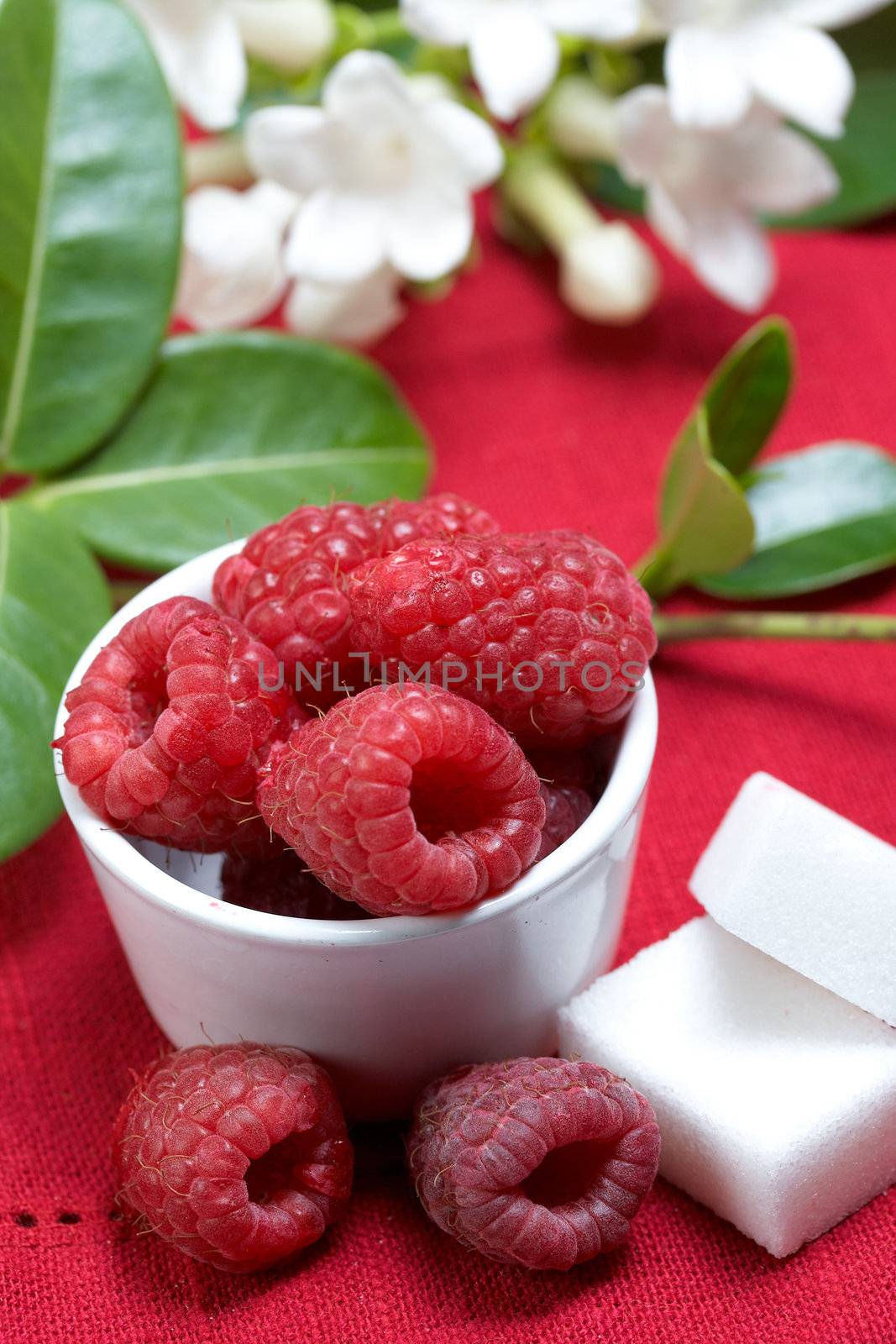 some fresh seasonal summer raspberries with yogurt