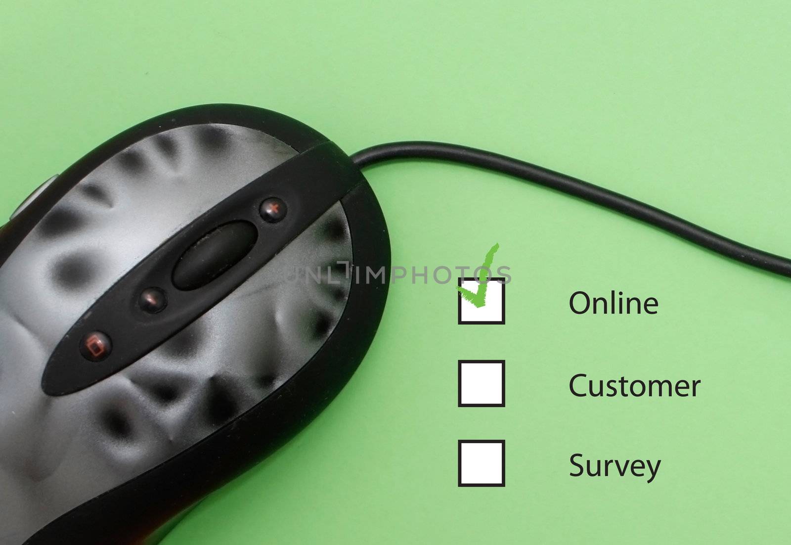 Online customer survey by leeser