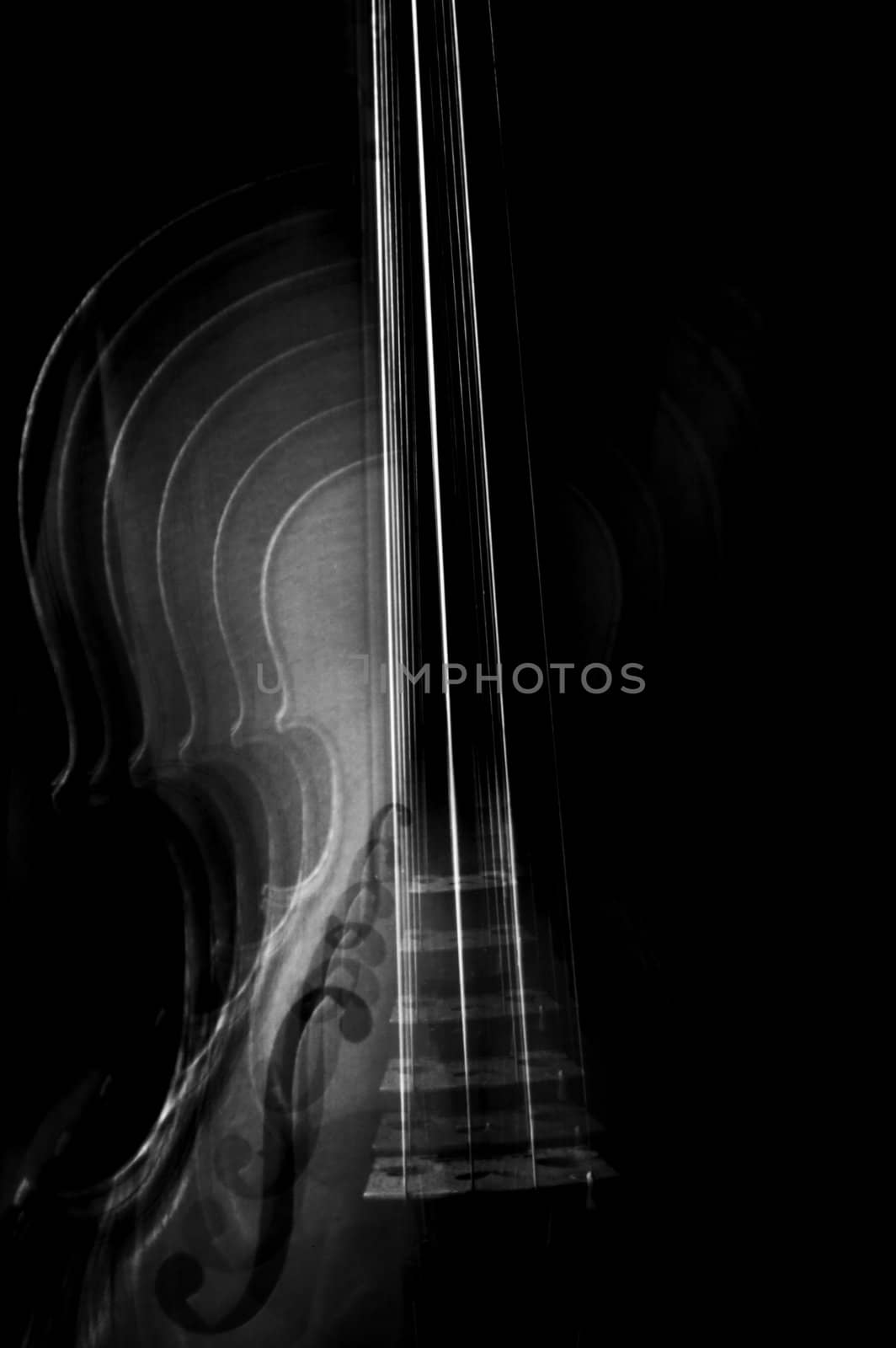 Abstract black and white violin expressing musical tones