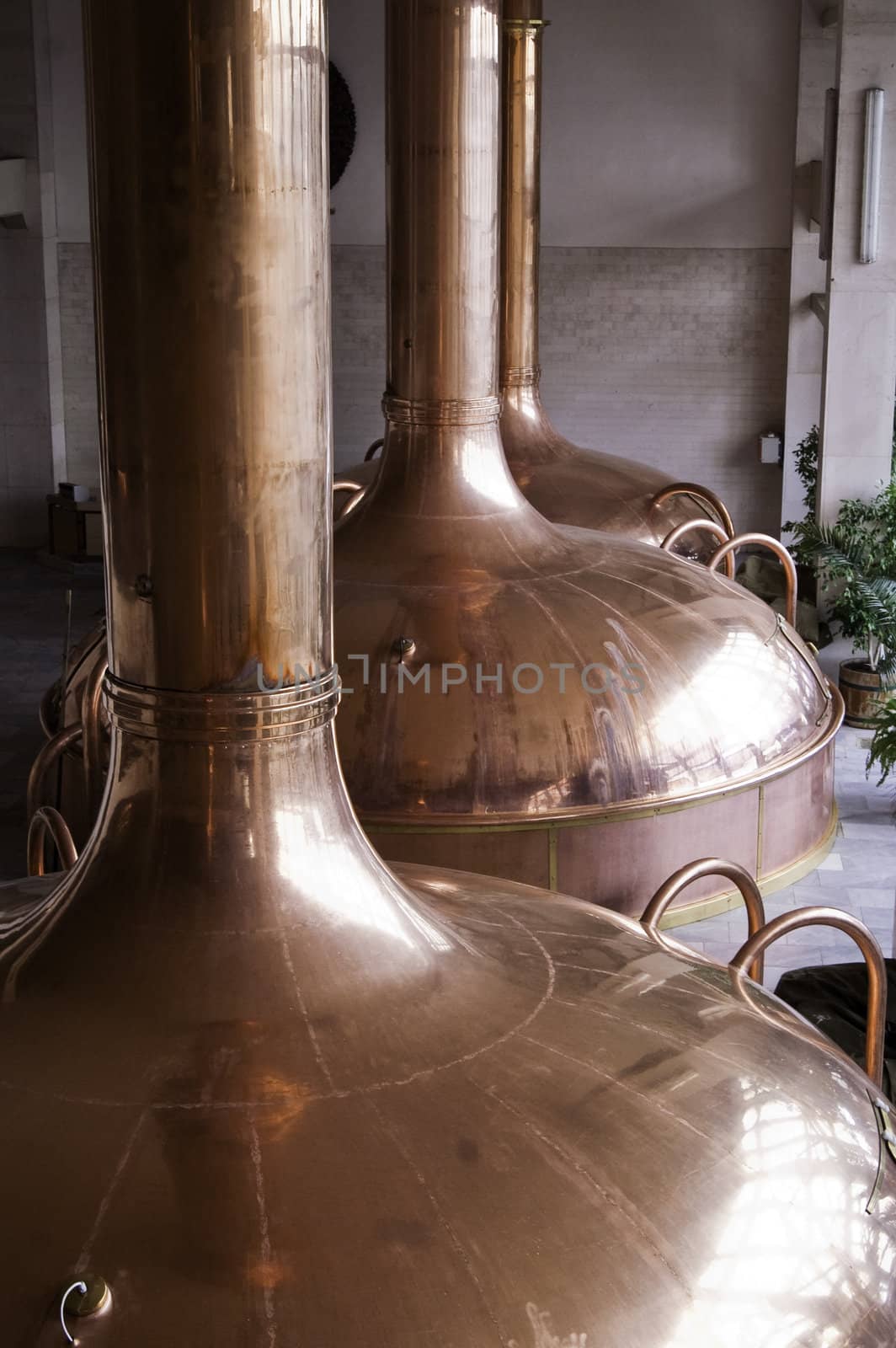 Copper holding tanks used to ferment beer during the brewing process