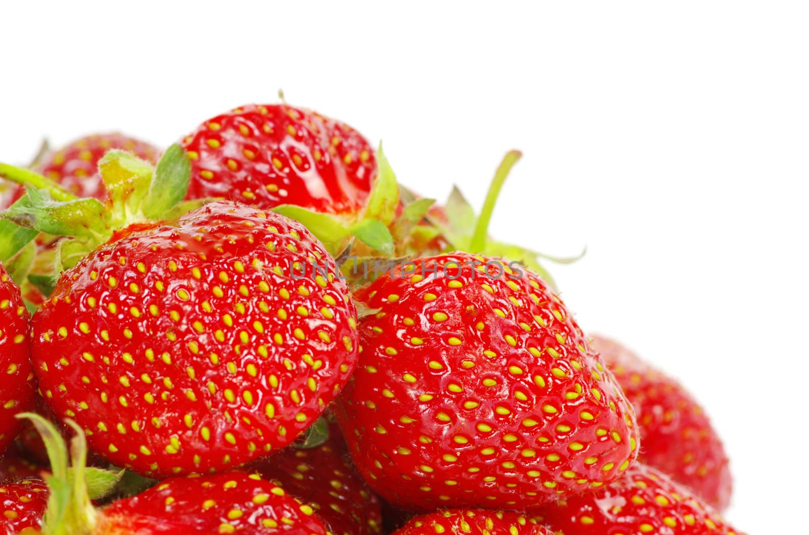 strawberries isolated on a white