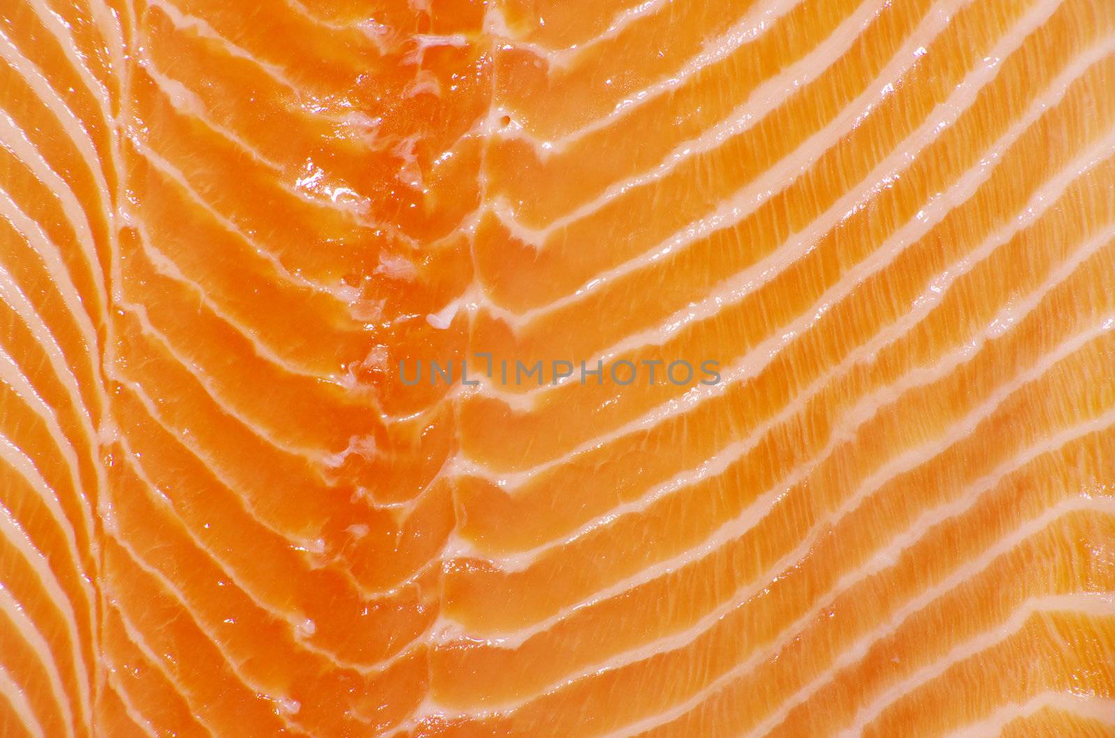 background salmon steak red fish 