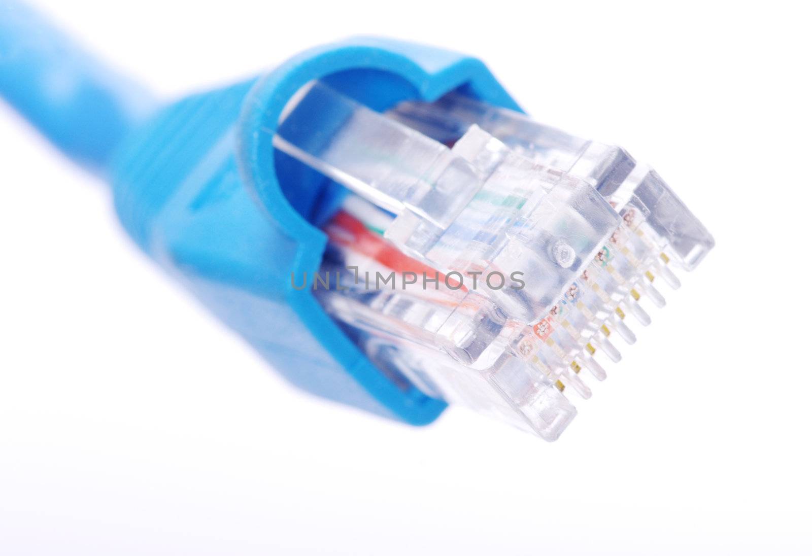  Macro shot of network connection plug
