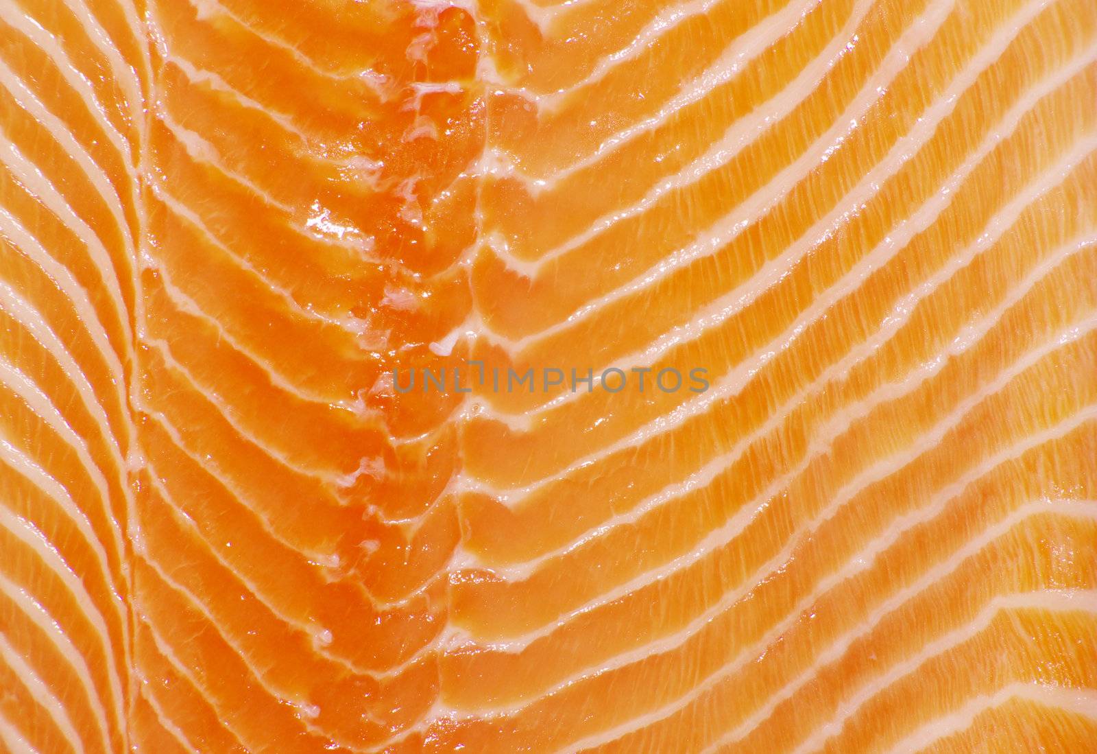 background salmon steak red fish 