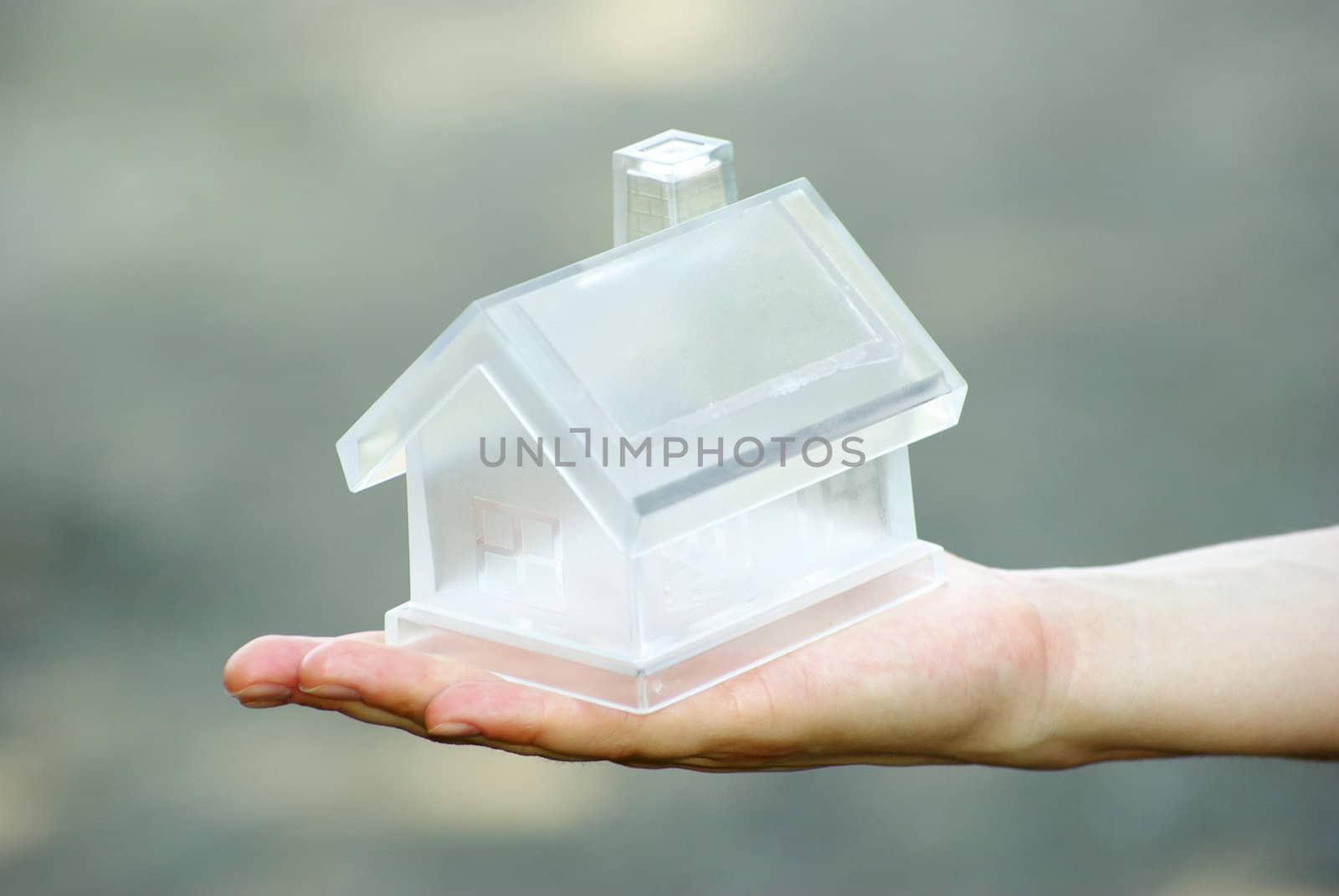 The house in human hand