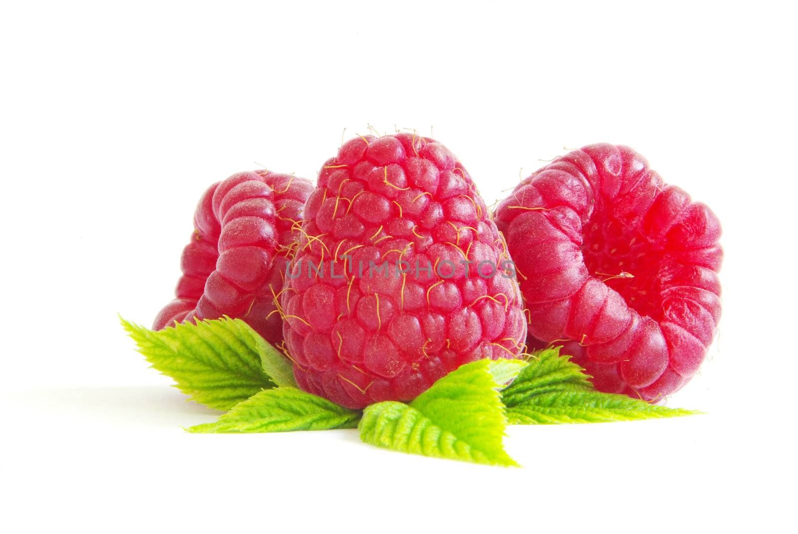 Ripe raspberry isolated on a white background