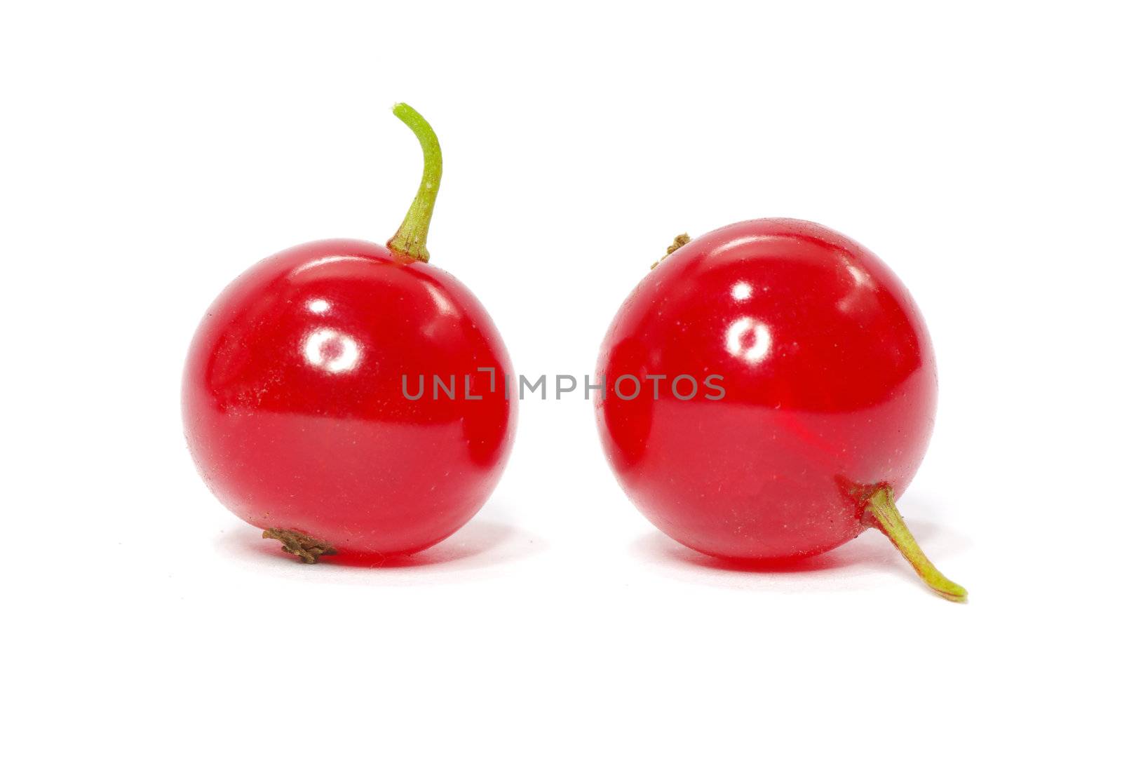 red currant isolated on a white background