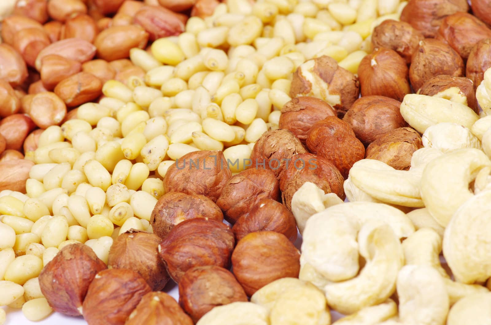 various nuts on a background