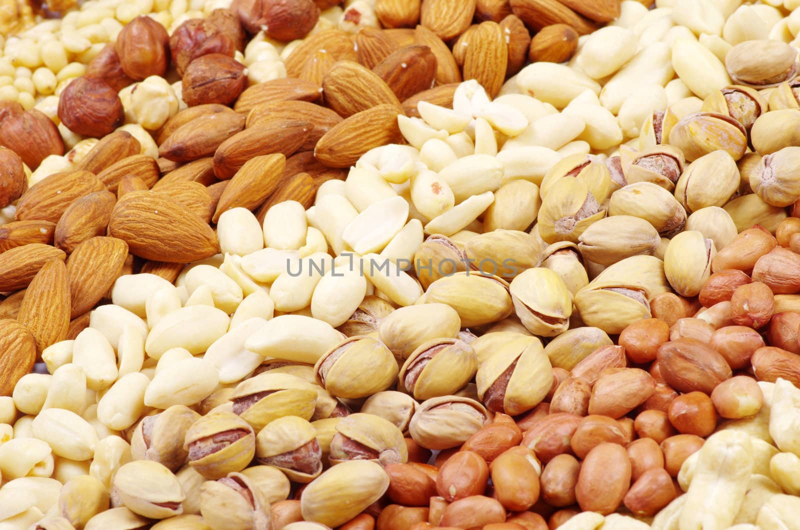 mixed nuts on a background