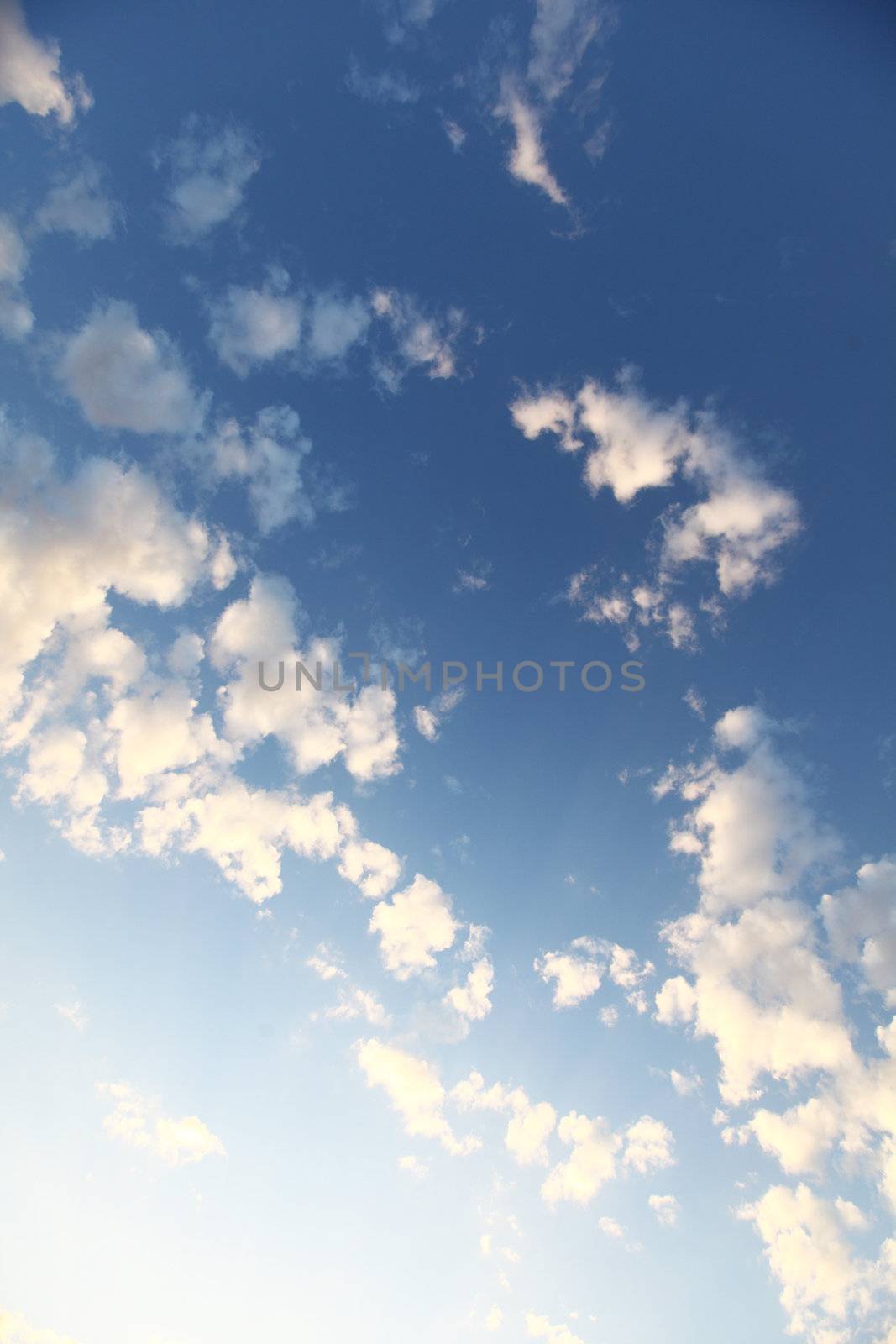 blue sky by Yellowj
