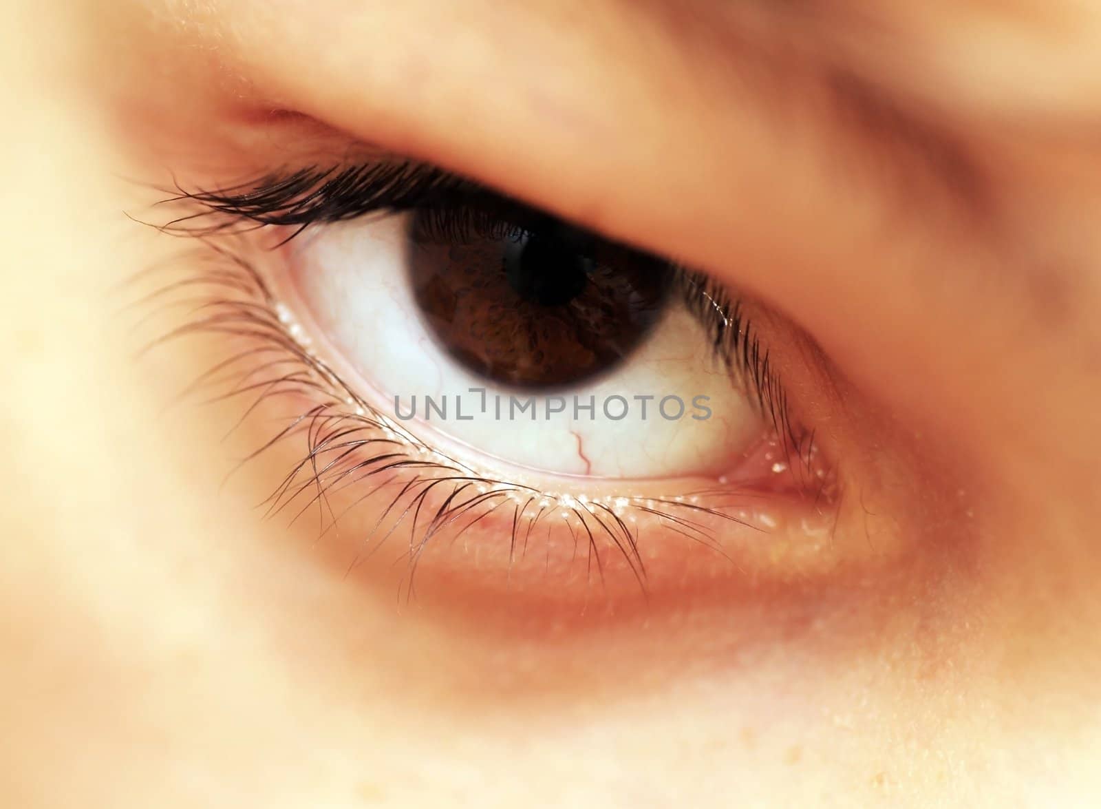 human beautiful brown eye closeup macro