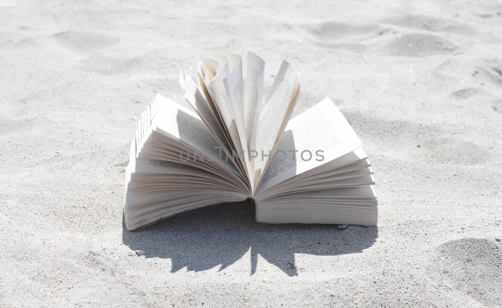 Book by the beach by leeser